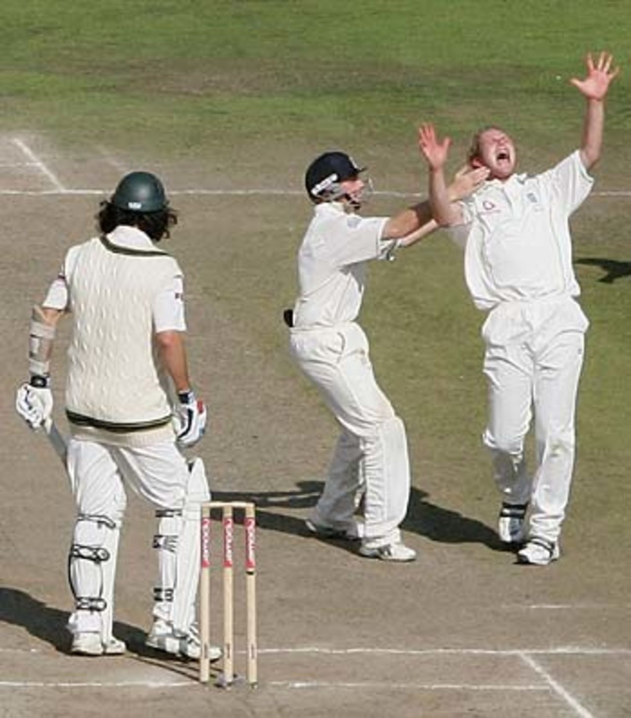 Matthew Hoggard roars his delight after dismissing Jason Gillespie, England v Australia, 3rd Test, Old Trafford, August 15, 2005