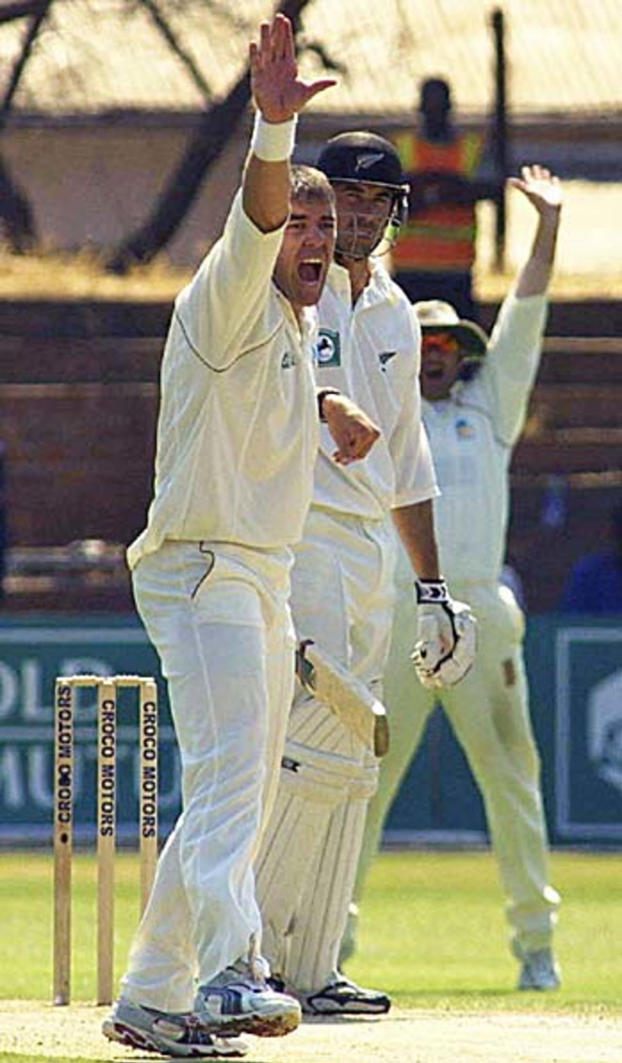 Heath Streak appeal for lbw against Stephen Fleming, Zimbabwe v New Zealand, 2nd Test, Bulawayo, August 16, 2005