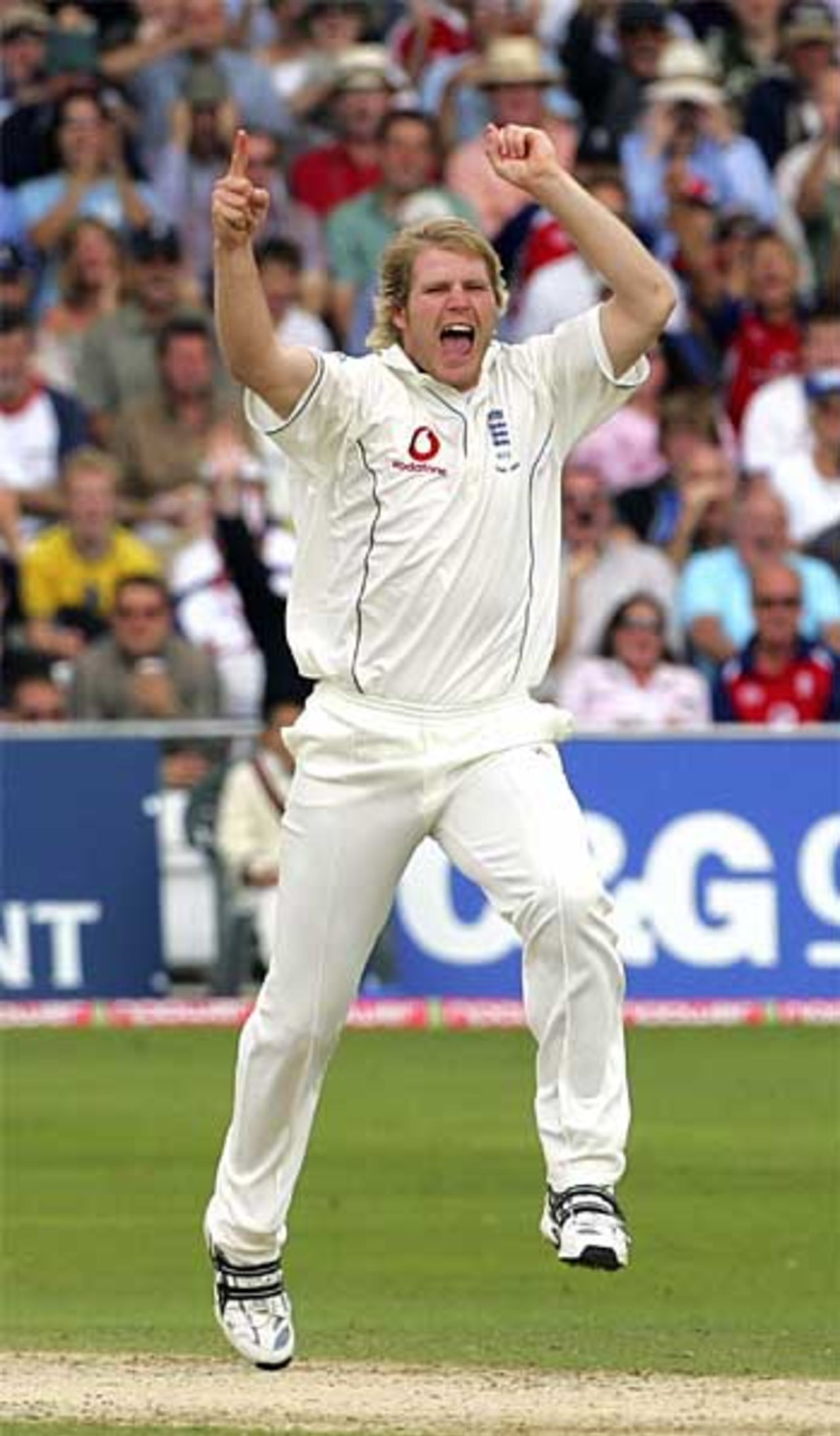 Matthew Hoggard celebrates Michael Clarke's wicket, England v Australia, 4th Test, Trent Bridge, 28 August 2005