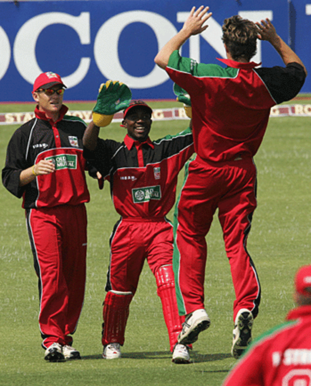 Anthony Ireland is cock-a-hoop after dismissing Sourav Ganguly, Zimbabwe v India, Harare, August 29, 2005