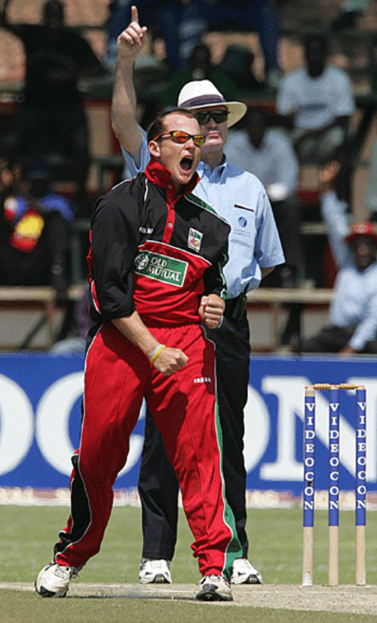 Gaving Ewing vents his emotions after dismissing Brendon McCullum, Zimbabwe v New Zealand, Harare, August 31, 2005