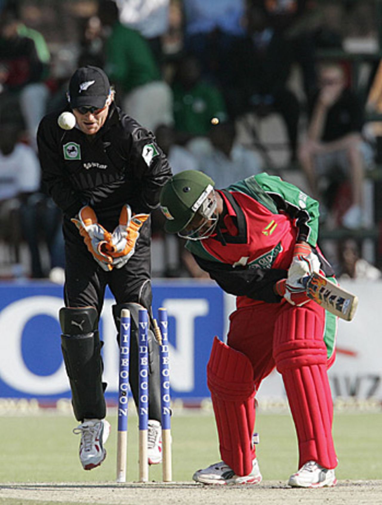 Tatenda Taibu is bowled by Daniel Vettori, Zimbabwe v New Zealand, Harare, August 31, 2005