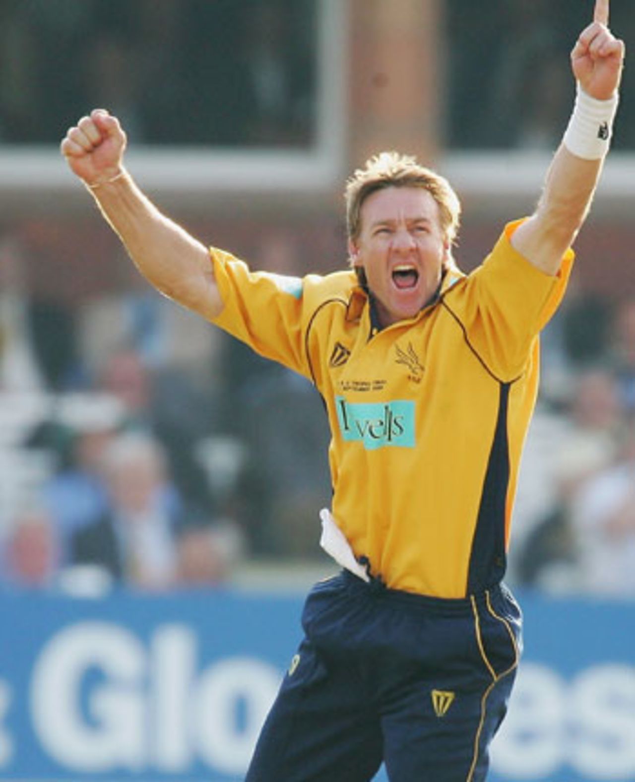 Andy Bichel grabs another wicket for Hampshire against Warwickshire, Lord's, September 3, 2005