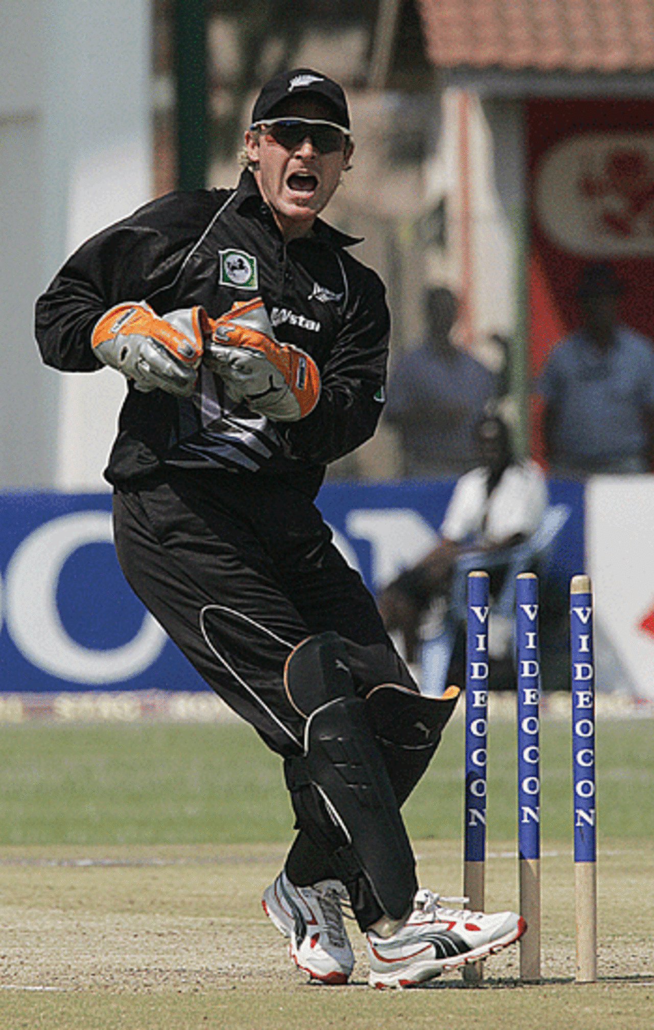 Brendon McCullum appeals unsuccessfully for a run out against Mohammad Kaif, India v New Zealand, Harare, September 6, 2005