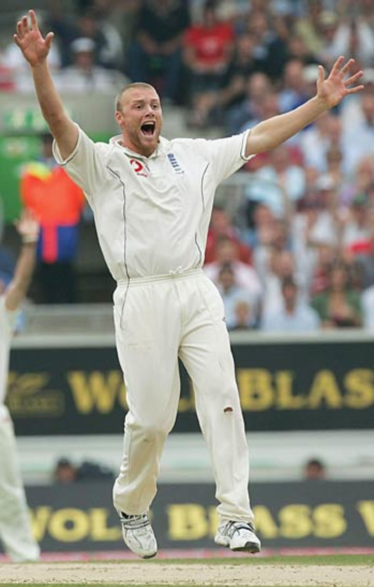 Andrew Flintoff appeals for an lbw against Justin Langer early on the third day, England v Australia, The Oval, London, September 10, 2005