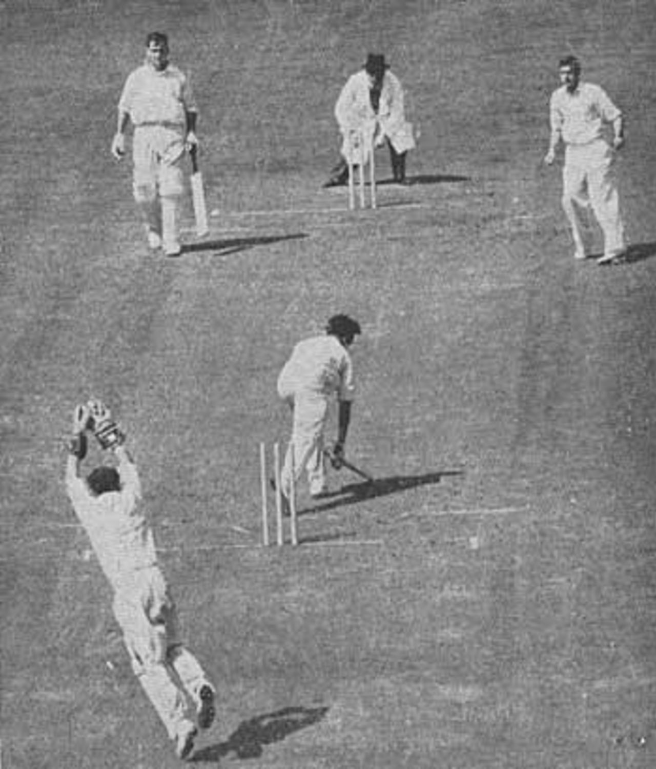 Trevor Bailey is bowled by Ron Archer, England v Australia, The Oval, August 17, 1953
