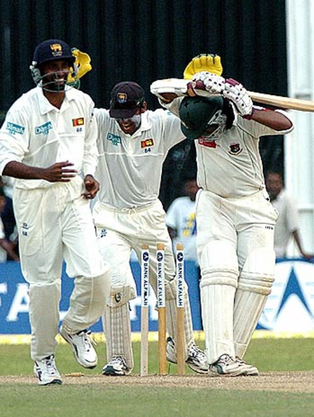 Russel Arnold and Kumar Sangakkara celebrate the dismissal of  Shahriar Nafees, Sri Lanka v Bangladesh, R.Premadasa Stadium, Khettarama, Colombo, September 13, 2005