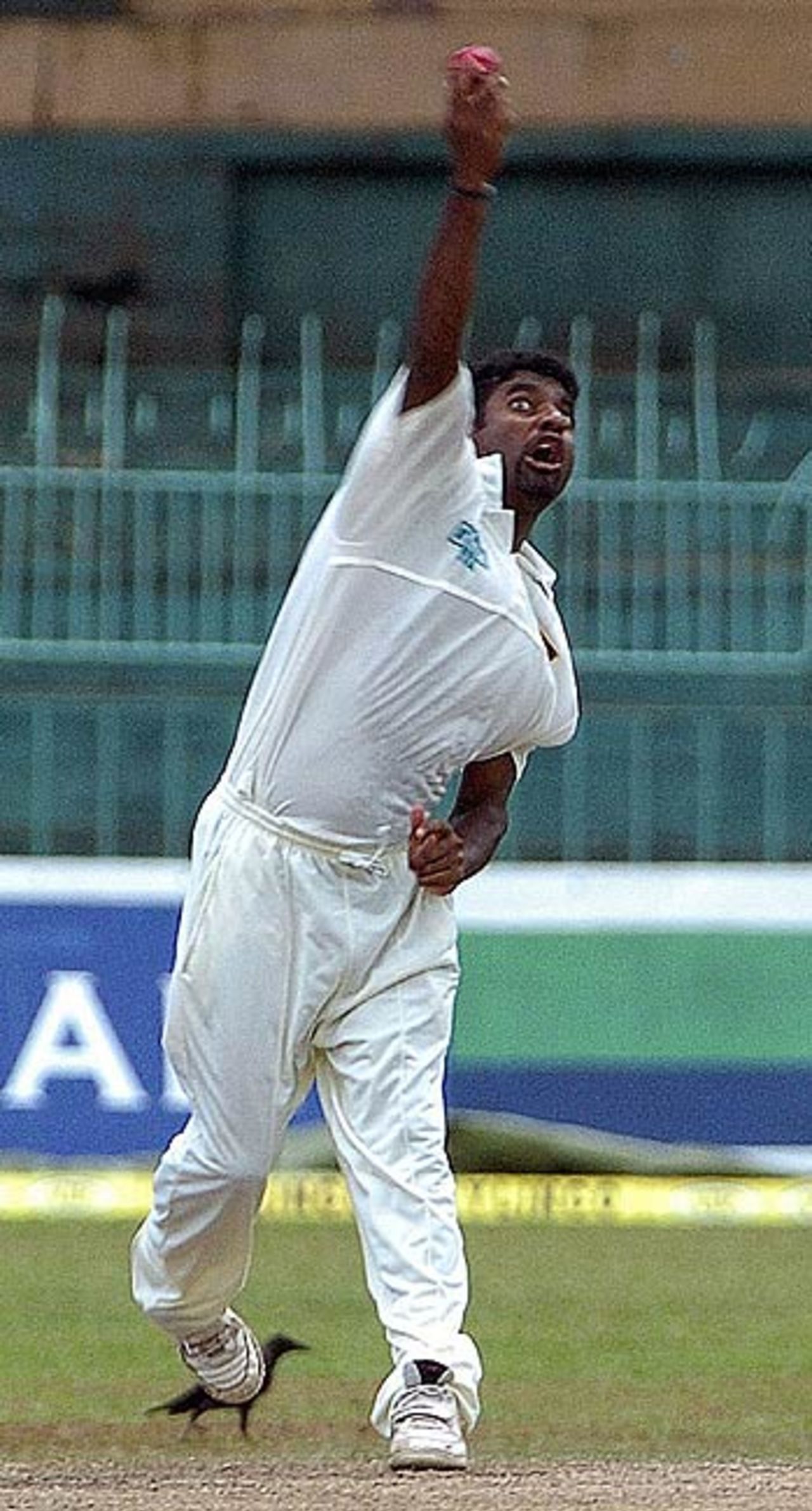 Muttiah Muralitharan destroyed Bangladesh with a devastating spell of 6 for 18, Sri Lanka v Bangladesh, Colombo, September 14, 2005