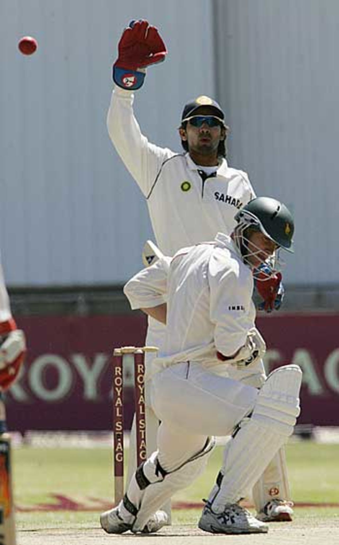Dinesh Karthik appeals for Andy Blignaut's wicket, Zimbabwe v India, Bulawayo, September 16, 2005