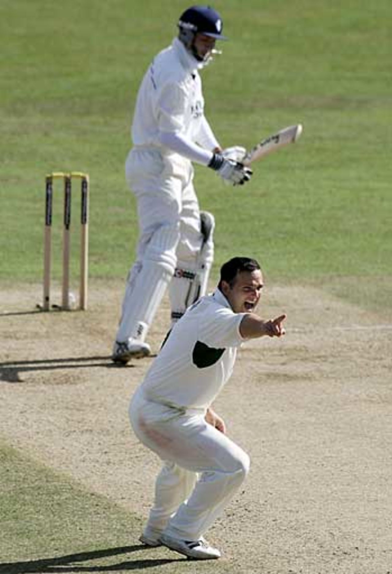 Mark Ealham appeals for another wicket, Kent v Nottinghamshire, Canterbury, September 17, 2005