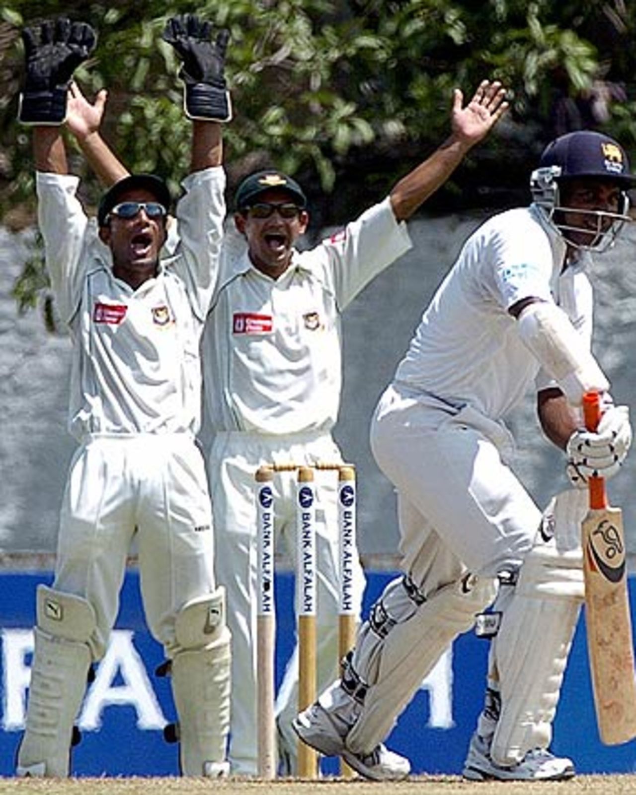 Khaled Mashud and Habibul Bashar successfully appeal for lbw against Sanath Jayasuriya, Sri Lanka v Bangladesh, Colombo, September 20, 2005
