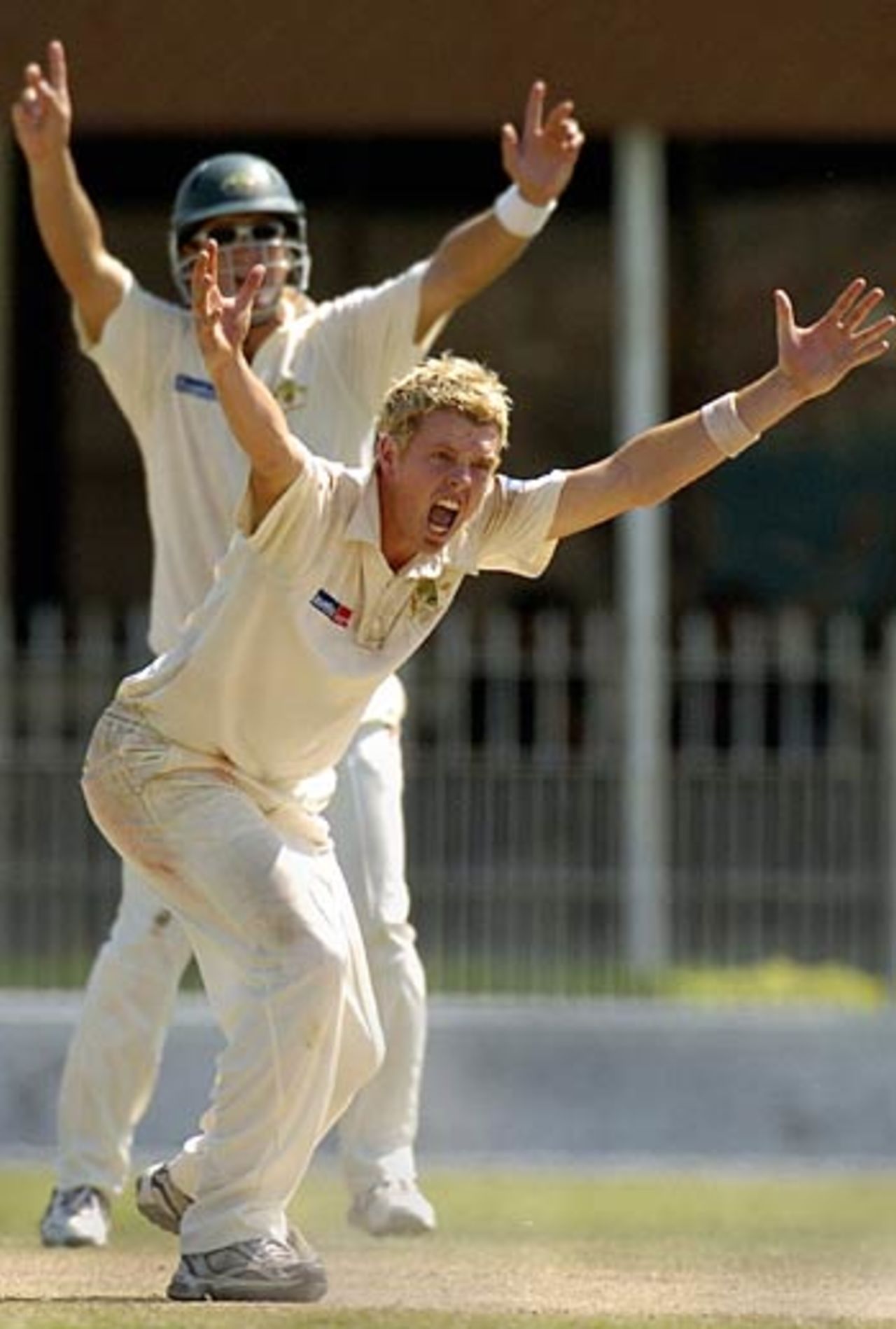 Daniel Cullen makes an unsuccessful appeal, Pakistan A v Australia A, KRL Cricket Stadium, Rawalpindi, September 20, 2005