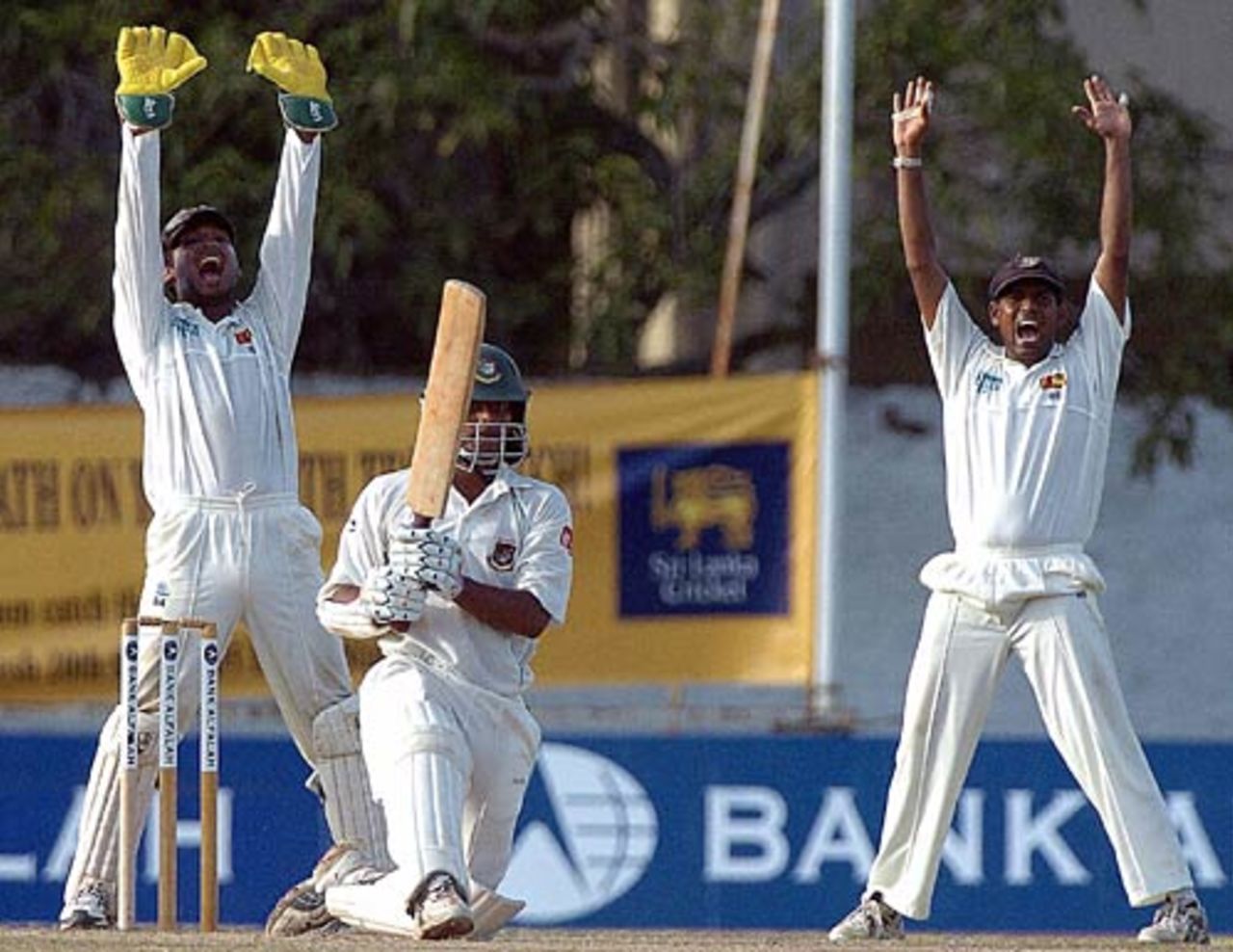 Kumar Sangakkara and Thilan Samaraweera appeal for an lbw against Shahriar Nafees, Sri Lanka v Bangladesh, Colombo, September 21, 2005