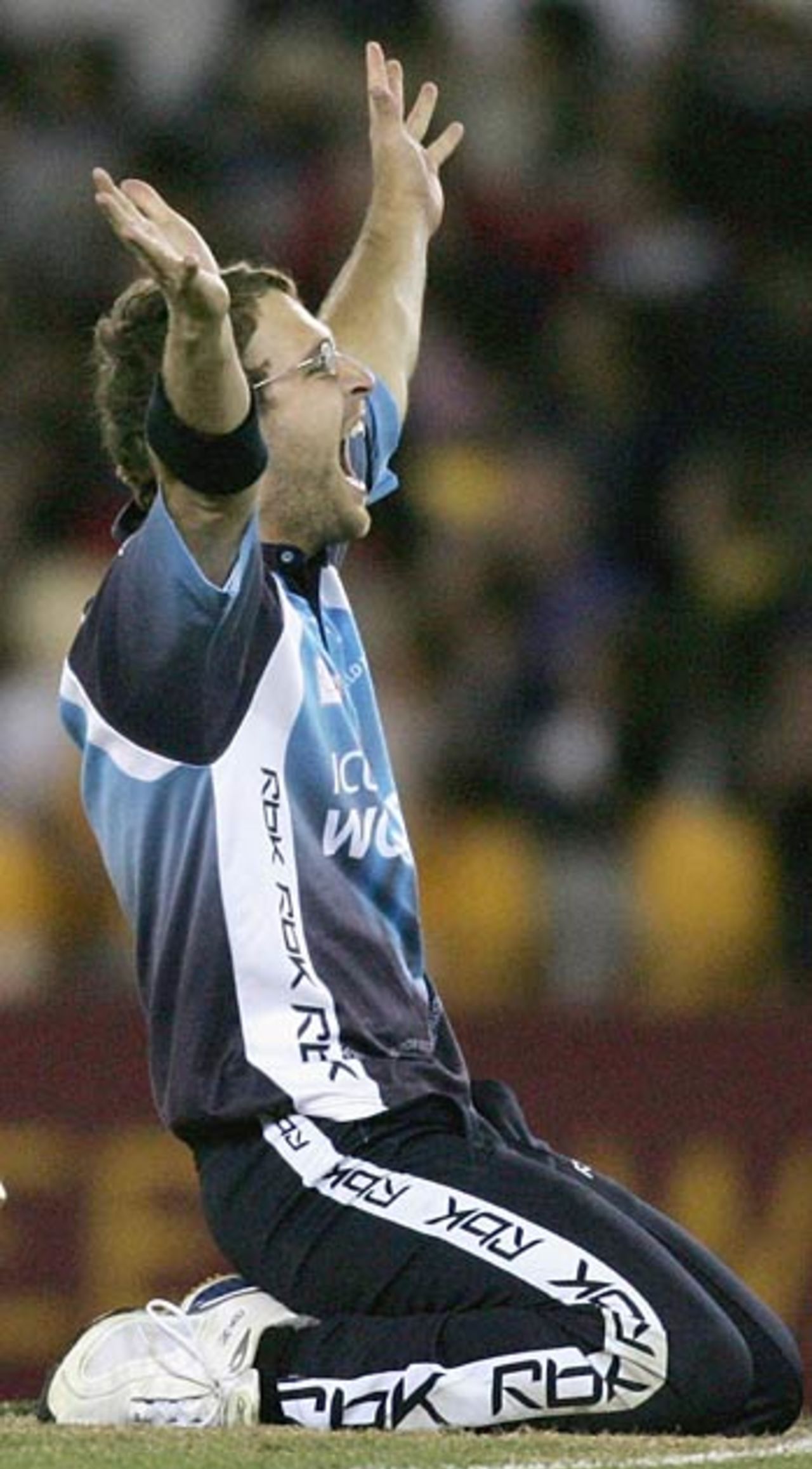 Daniel Vettori appeals successfully for a lbw against Damien Martyn