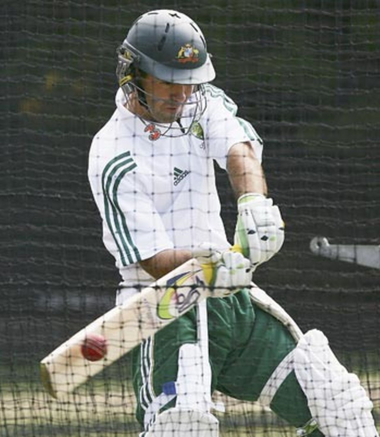 Ricky Ponting has a hit during a practice session, Sydney, October 13, 2005