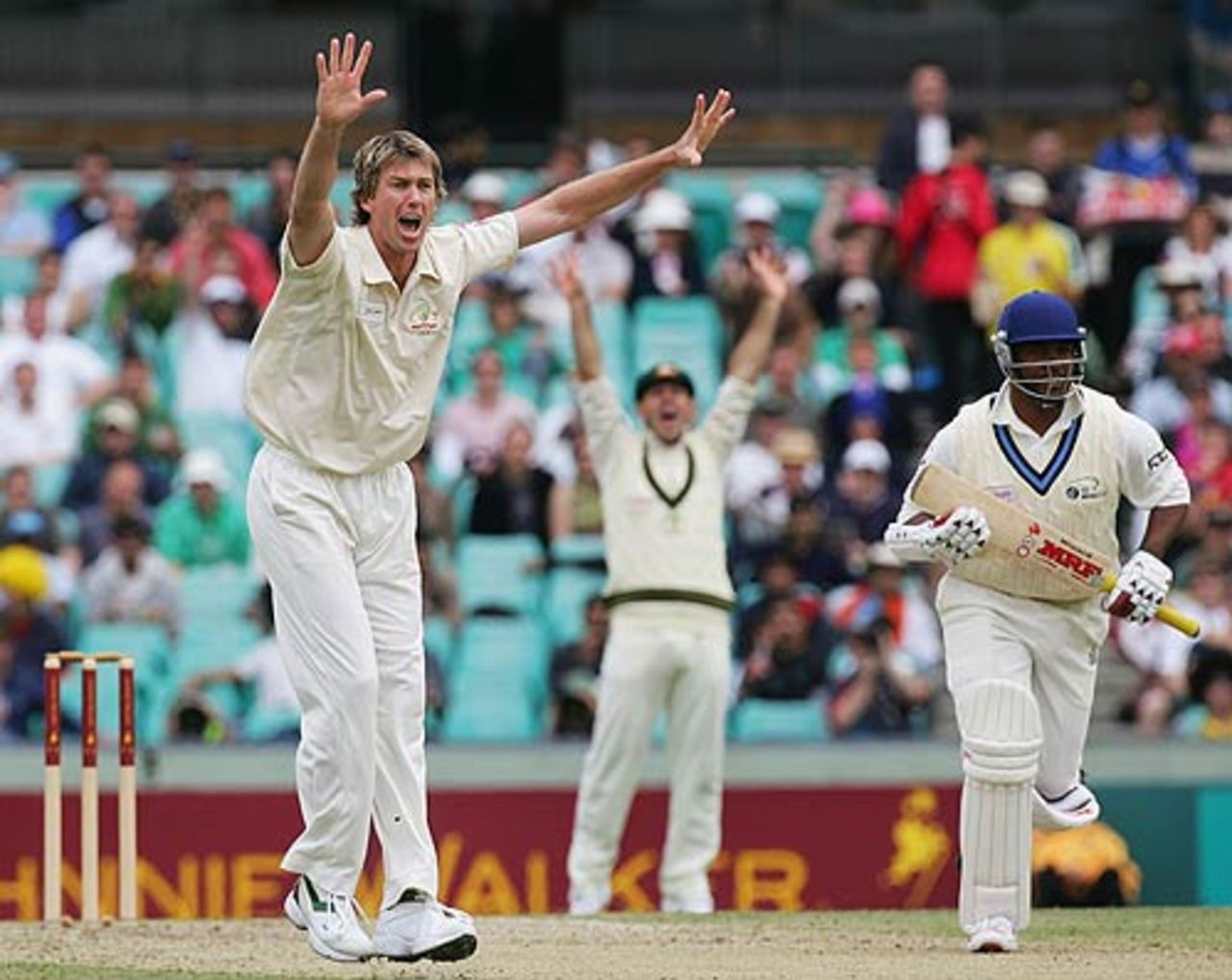Glenn McGrath traps Brian Lara lbw, Australia v World XI, Super Test, 2nd Day, Sydney, October 15, 2005