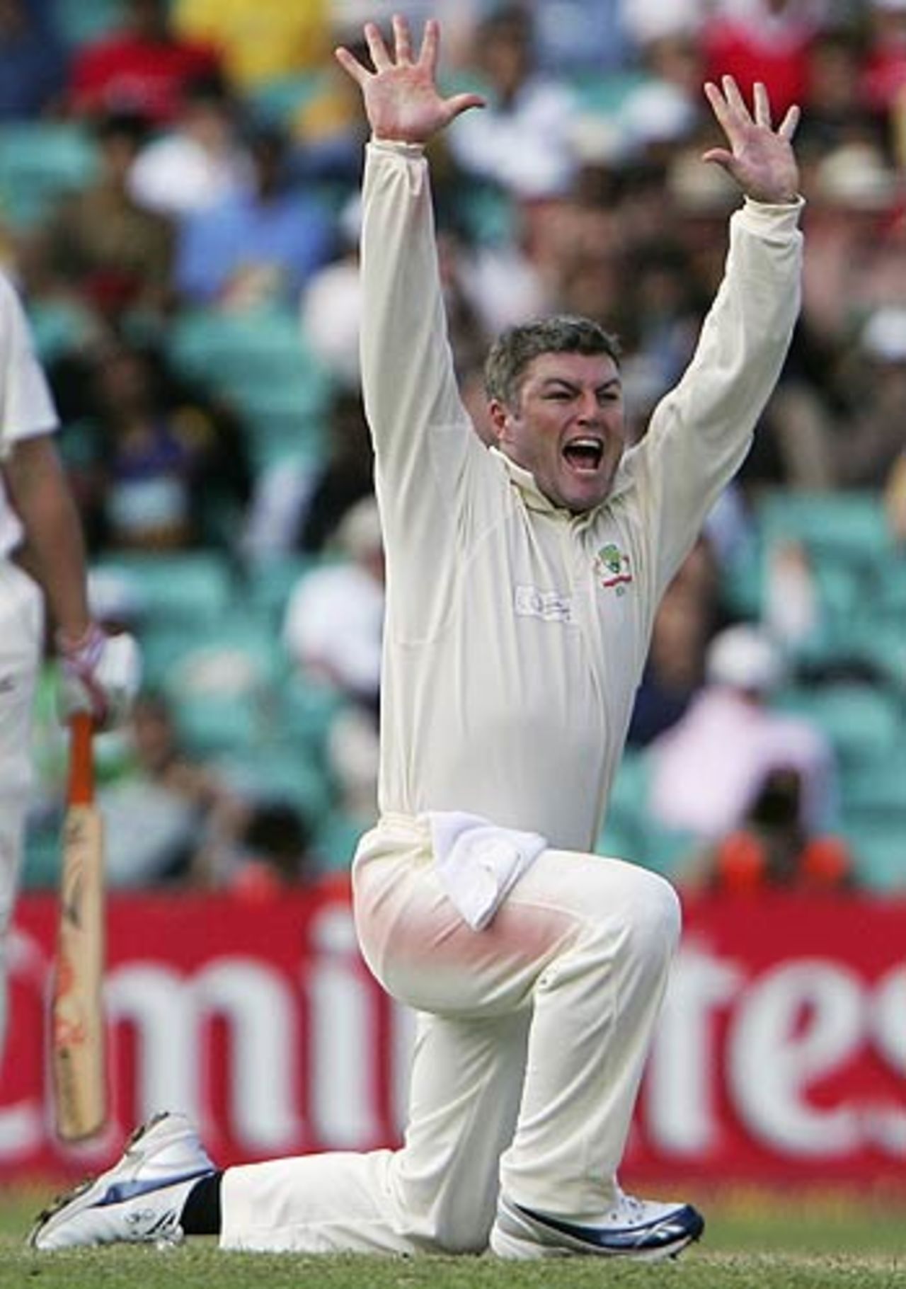 Stuart MacGill appeals for an lbw decision, Australia v World XI, Super Test, 2nd Day, Sydney, October 15, 2005