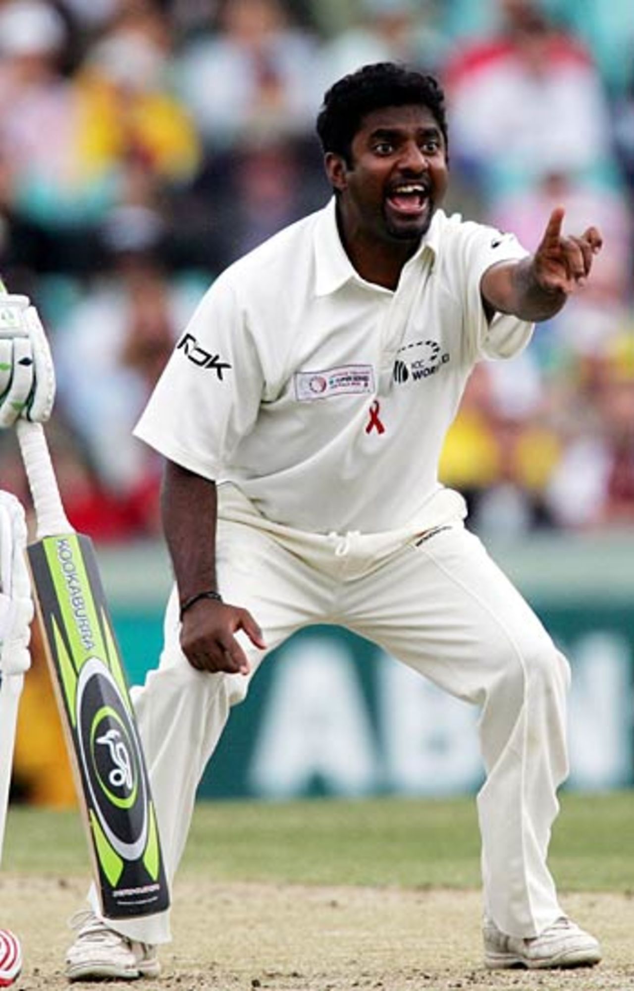 Muttiah Muralitharan makes an unsuccessful appeal for a lbw decision against Matthew Hayden, Australia v World XI, Super Test, 3rd Day, Sydney, October 16, 2005
