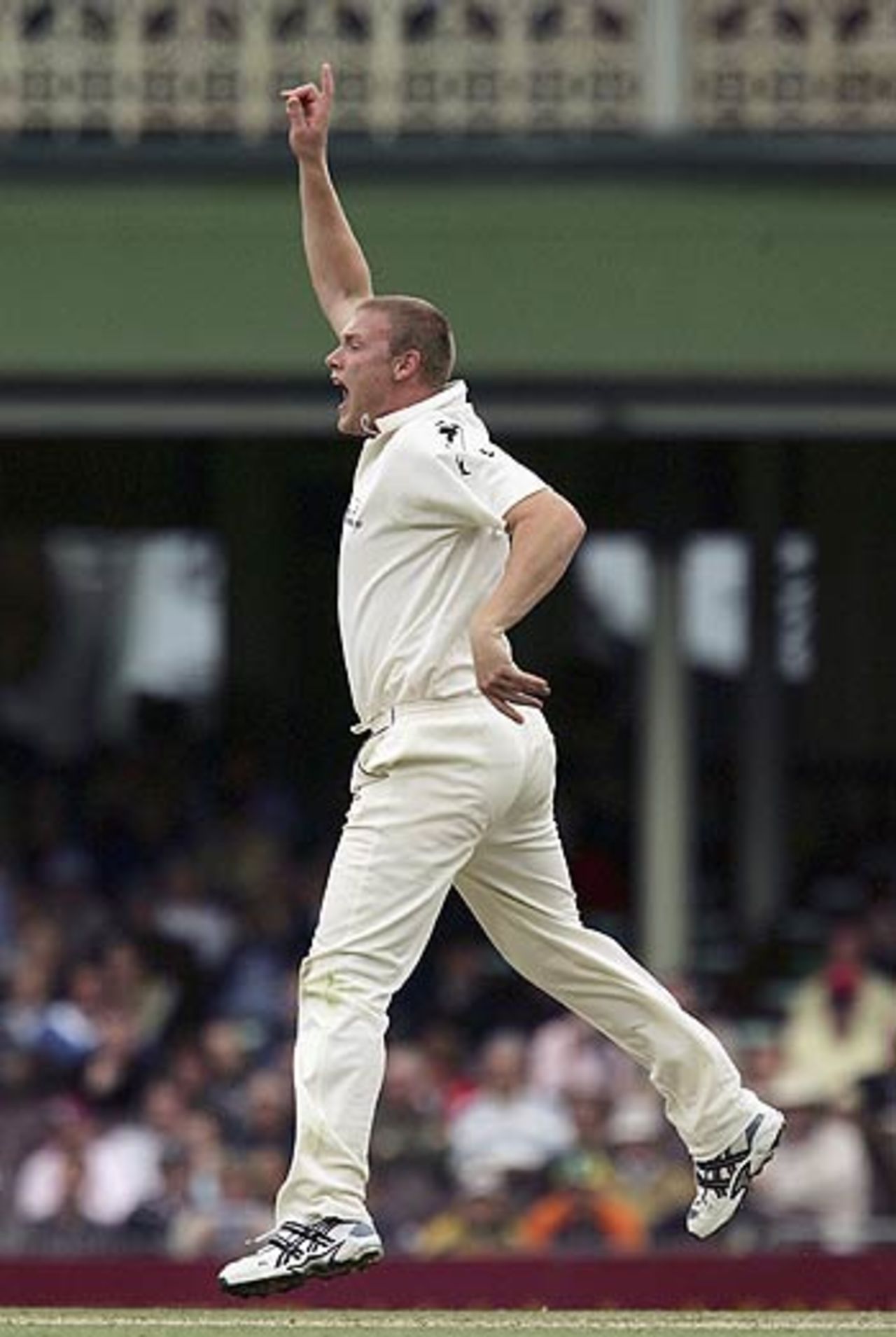 Andrew Flintoff roars after dismissing Shane Watson, Australia v World XI, Super Test, Sydney, 3rd Day, October 16, 2005