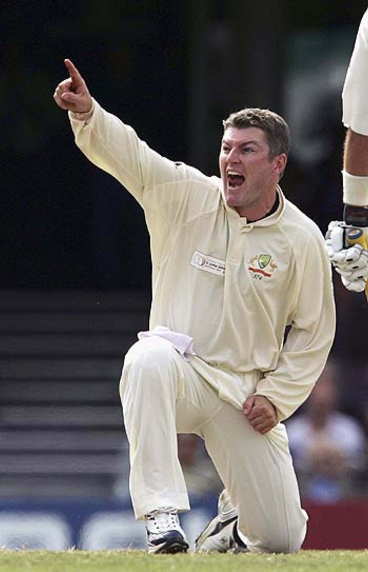 Stuart MacGill appeals against Steve Harmison, Australia v World XI, Super Test, Sydney, 4th Day, October 17, 2005