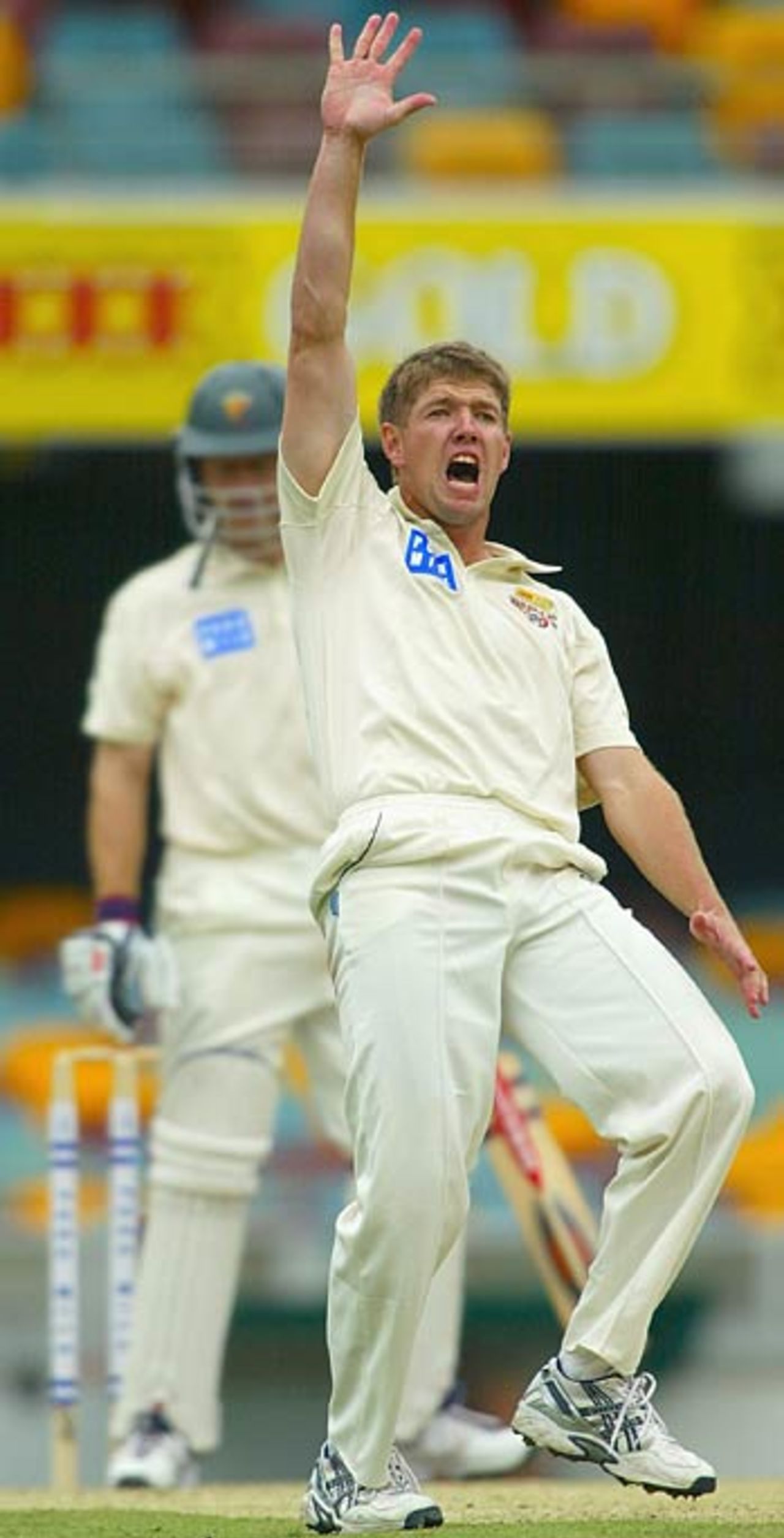 James Hopes goes up in appeal, Queensland v Tasmania, Pura Cup, Brisbane, October 18, 2005 
