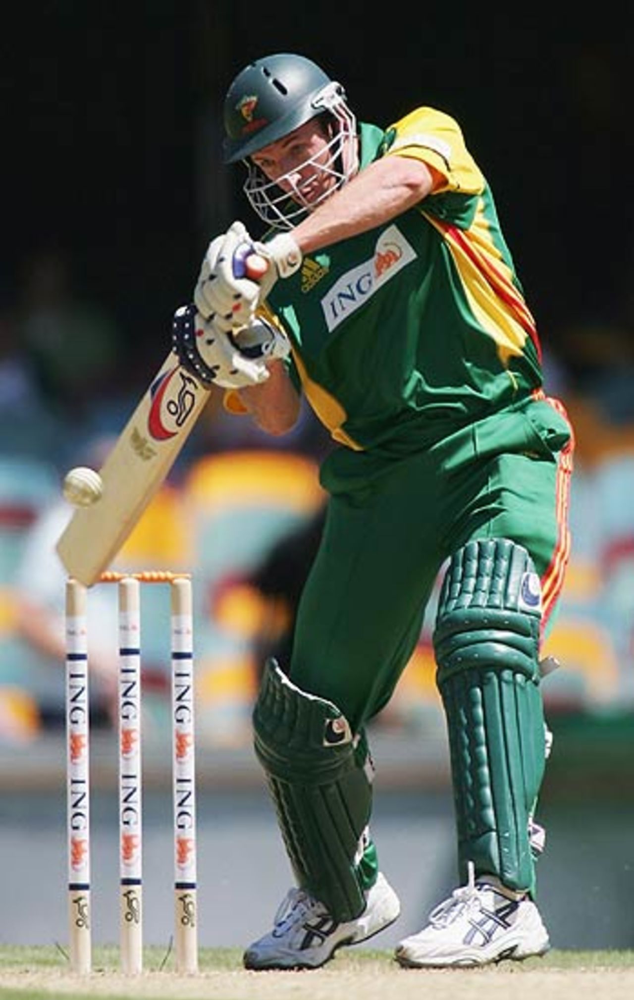 Damien Wright was caught off James Hopes for 1, ING Cup, Tasmania v Queensland, Brisbane, October 22, 2005