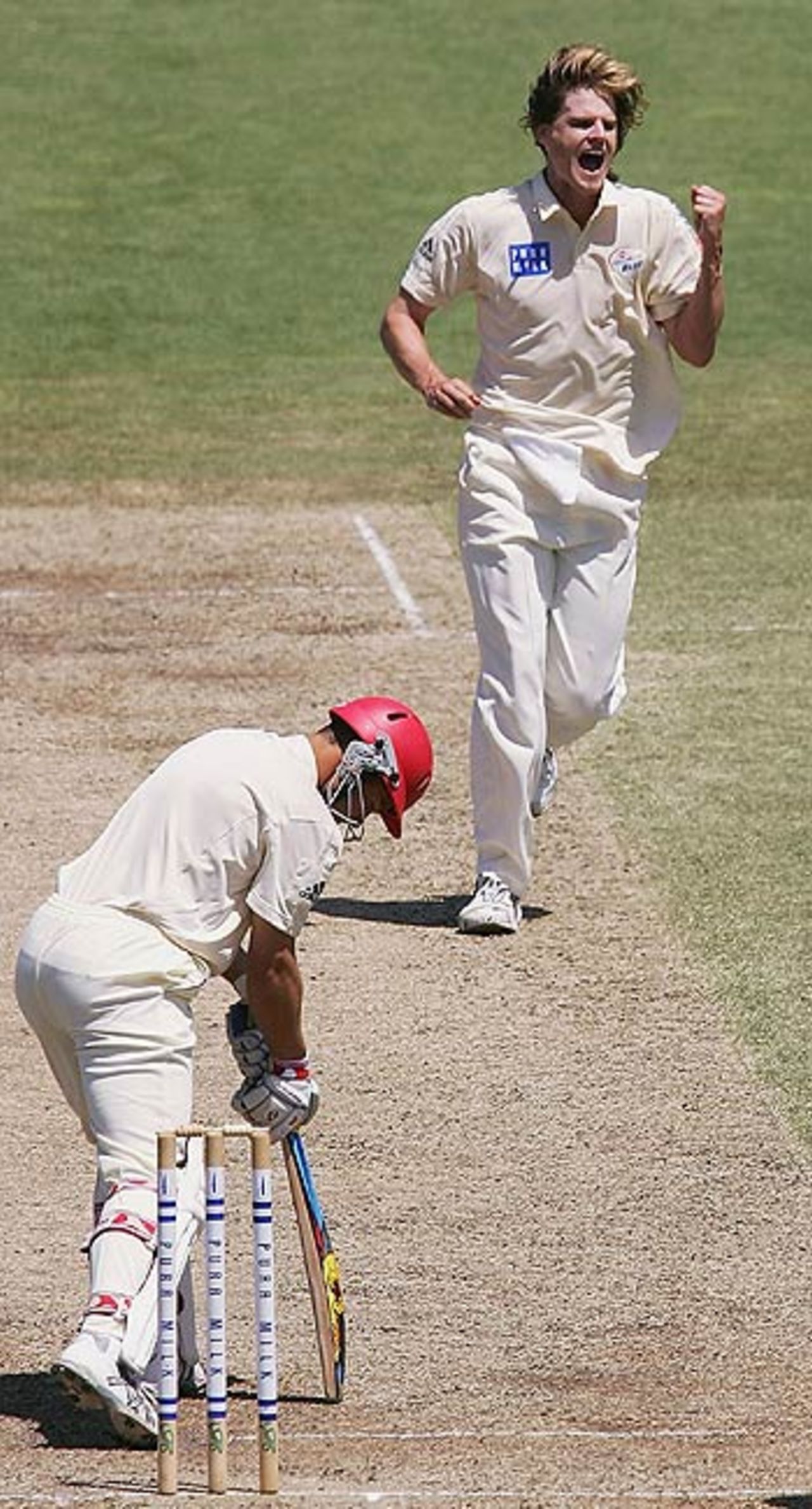 Nathan Bracken celebrates taking the wicket of Graham Manou, New South Wales v South Australia, Pura Cup, SCG, October 28, 2005