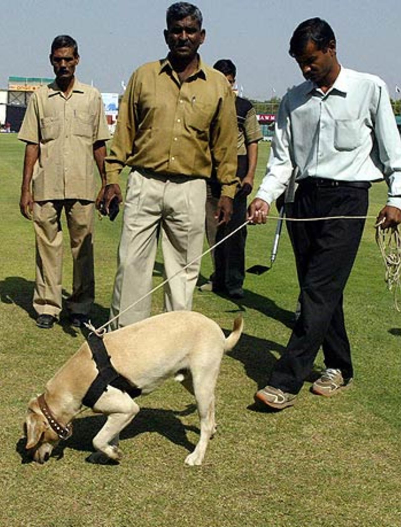 Indian bomb squad officers use a sniffer dog as they check the pitch at the Sawai Mansingh Stadium, Jaipur, October 30, 2005
