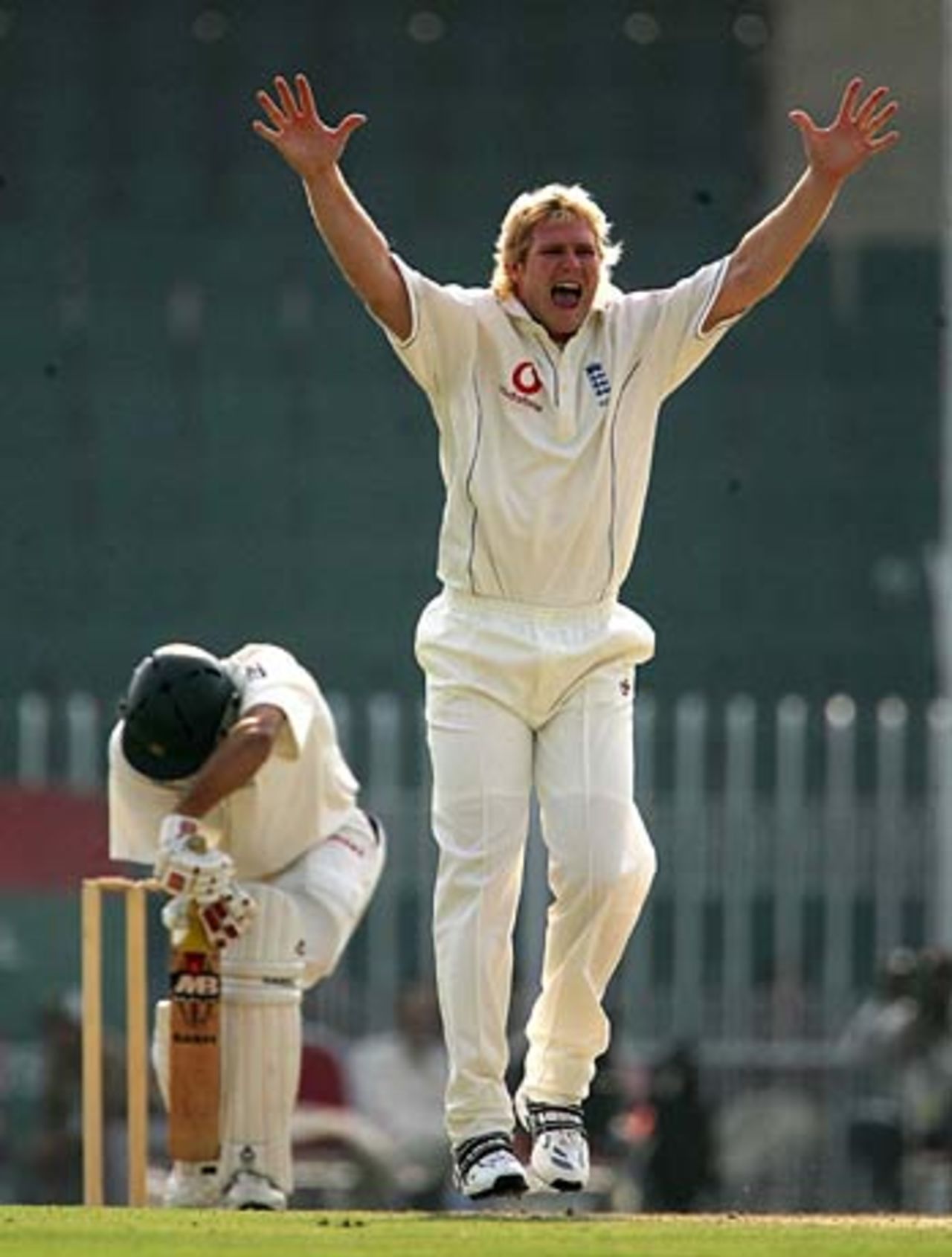 Matthew Hoggard appeals - unsuccessfully - against Misbah-ul-Haq , Patron's XI v England XI, Rawalpindi, November 2, 2005