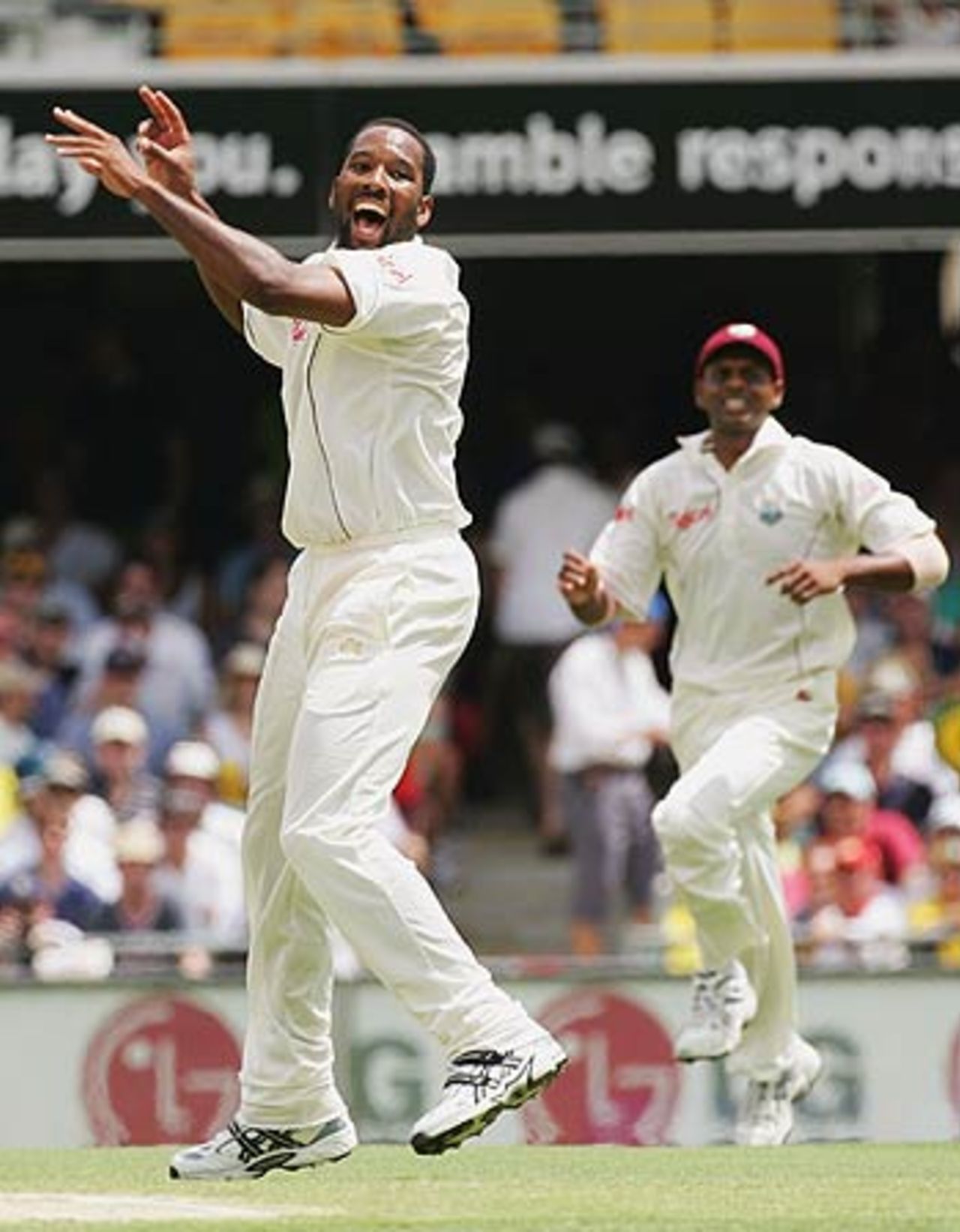 Corey Collymore celebrates Michael Clarke's wicket, Australia v West Indies, 1st Test, Brisbane, 1st day, November 3, 2005