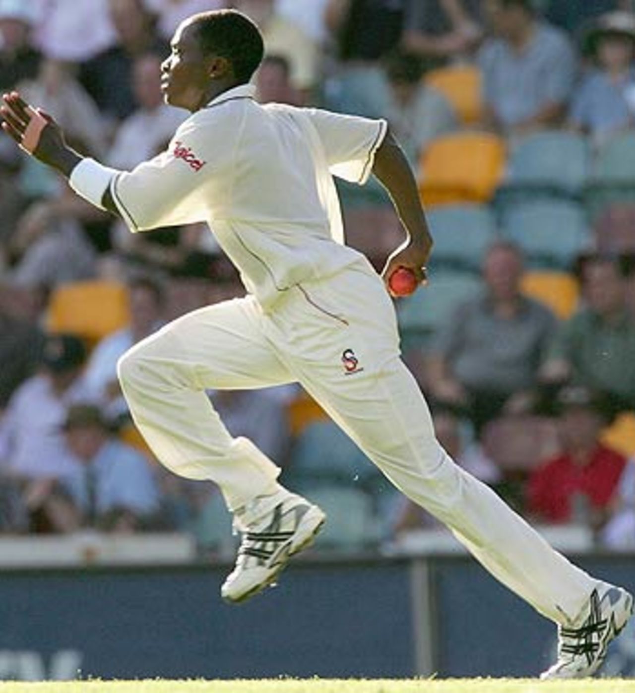 Fidel Edwards charges in, Australia v West Indies, 1st Test, Brisbane, 1st day, November 3, 2005