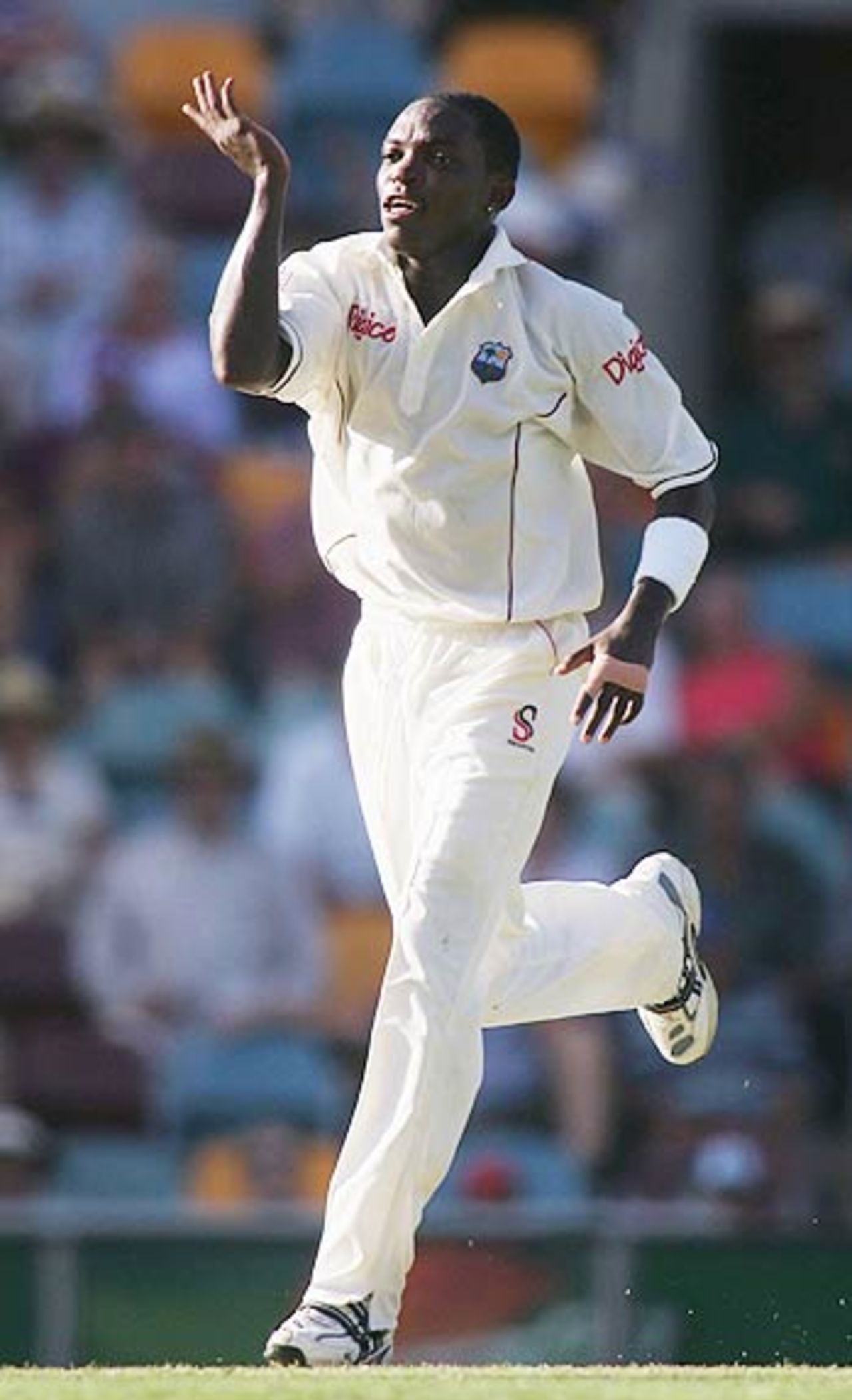 Fidel Edwards celebrates after trapping Shane Watson lbw, 1st Test, Brisbane, 1st day, November 3, 2005