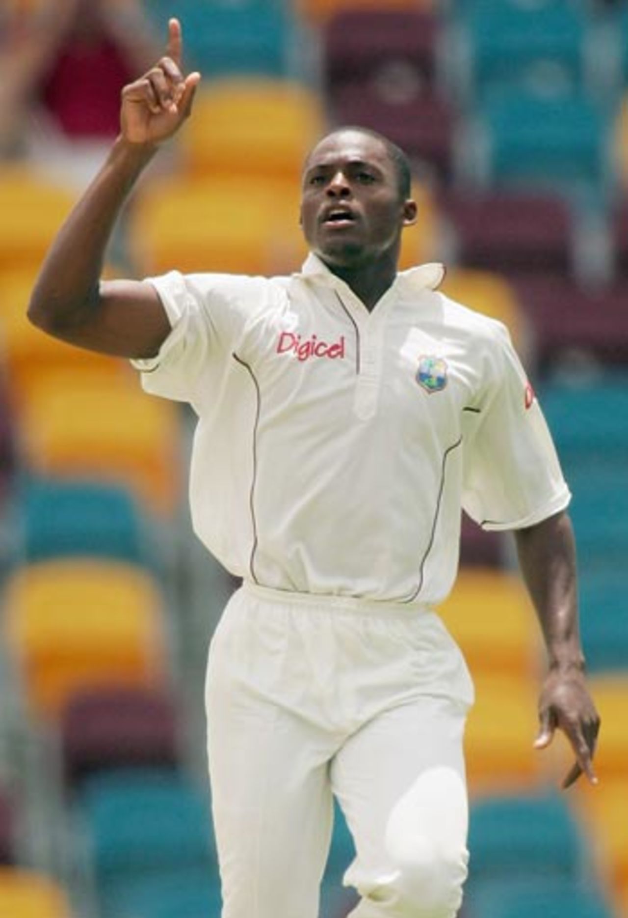 Daren Powell celebrates the wicket of Shane Warne, 1st Test, Brisbane, 2nd day, November 4, 2005