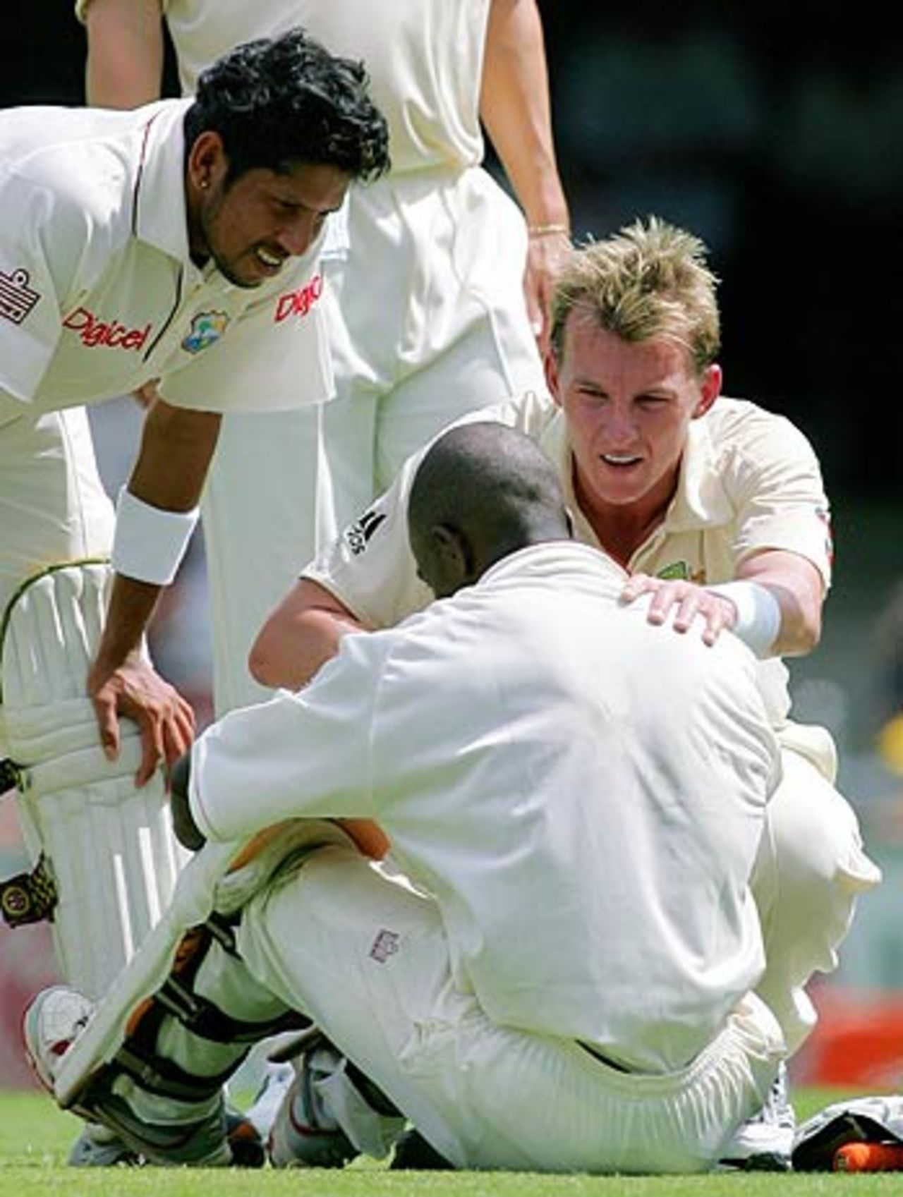 Brett Lee takes a look at his handiwork, 1st Test, Brisbane, 2nd day, November 4, 2005