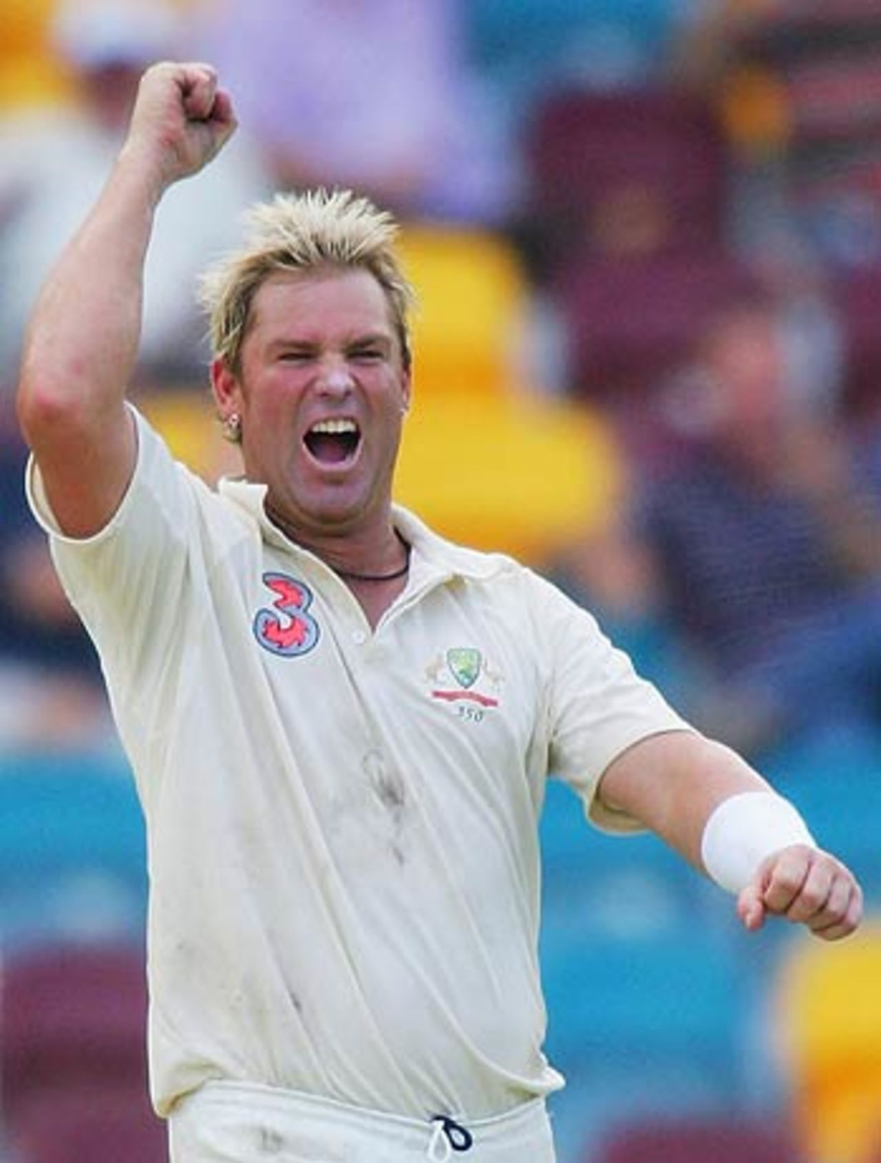 Shane Warne celebrates the wicket of Jermaine Lawson, 1st Test, Brisbane, 3rd day, November 5, 2005