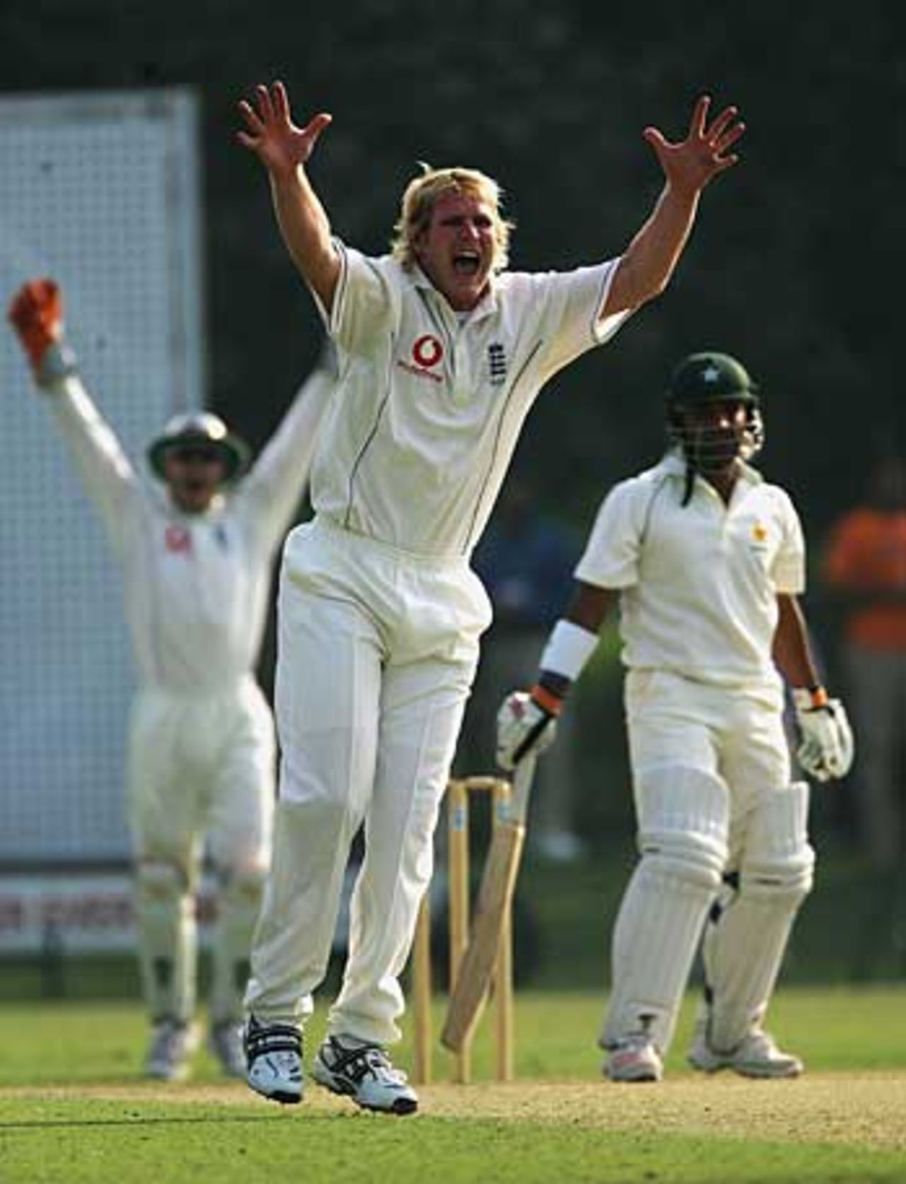 Matthew Hoggard appeals successfully against Imran Farhat. Hoggard took four early wickets to boost England, Pakistan A v England XI, Tour Match, Lahore, November 6, 2005