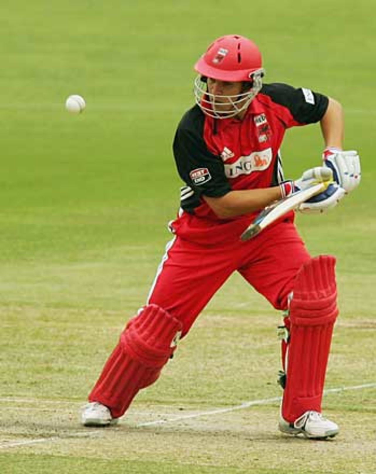 Graham Manou defends watchfully, South Australia v Western Australia, Adelaide, November 12, 2005
