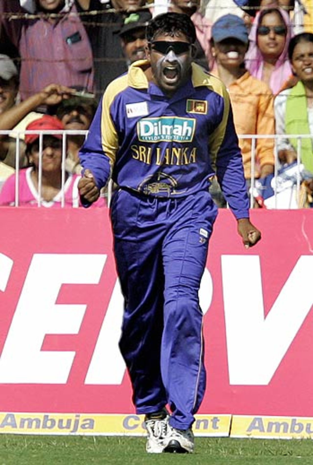 Steve Harmison roars in delight | ESPNcricinfo.com
