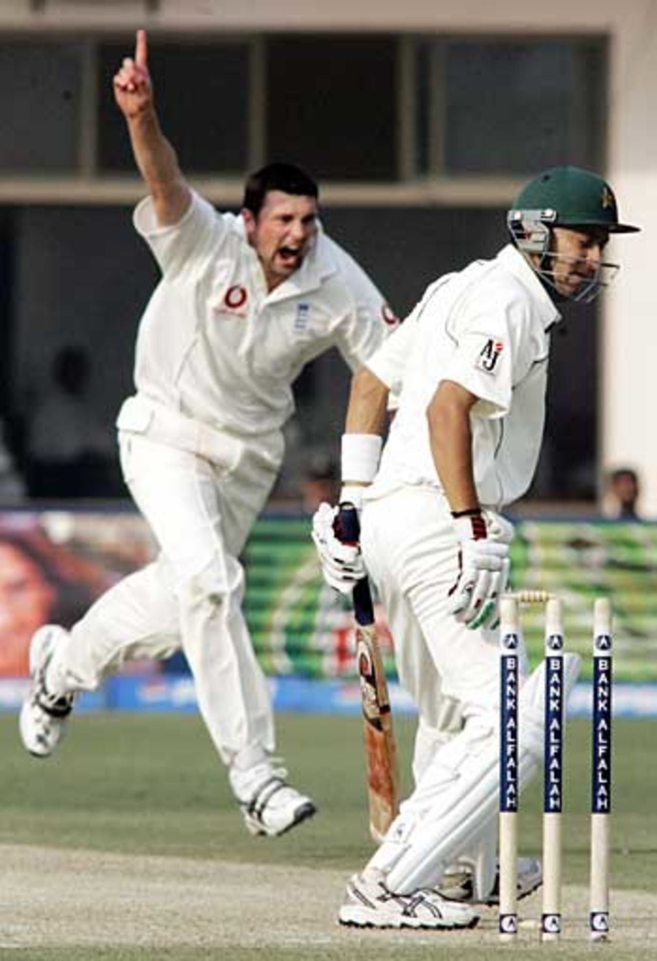 Steve Harmison celebrates Hasan Raza's wicket as he rattles the Pakistan middle order with a two-wicket over, Pakistan v England, 1st Test, Multan, November 12, 2005