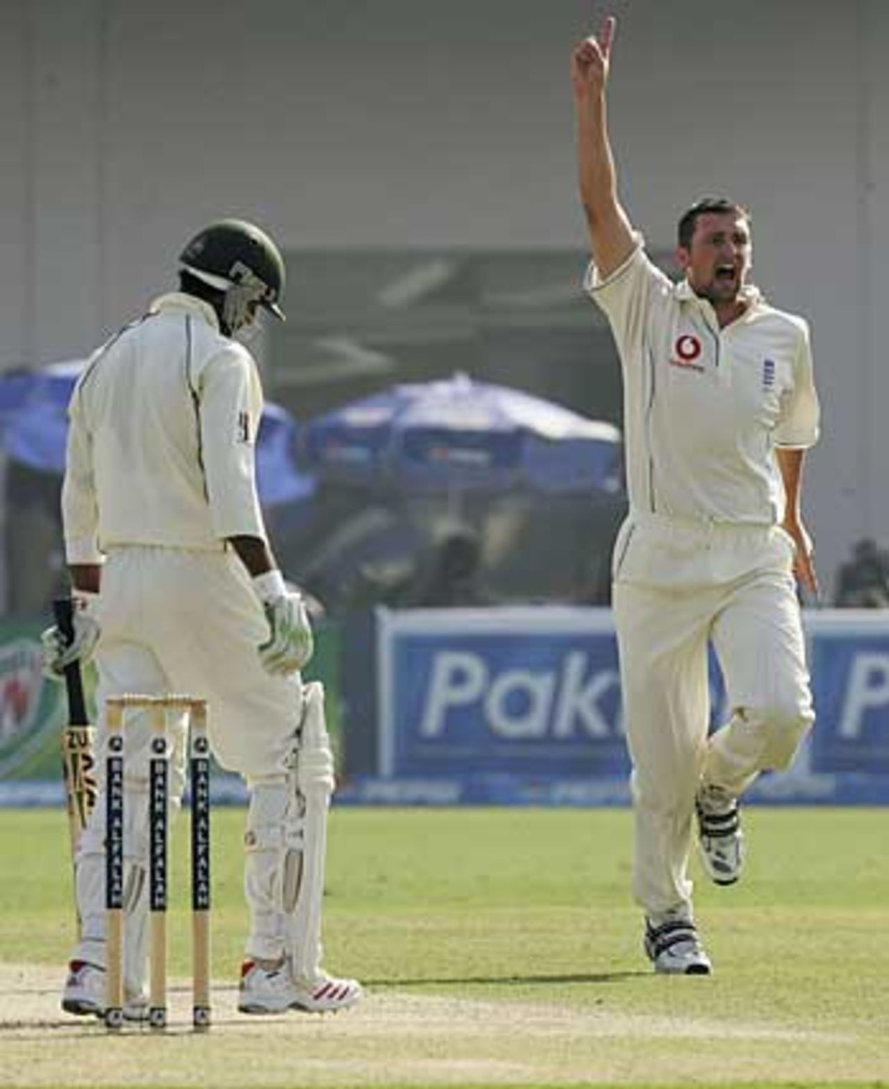 Steve Harmison celebrates the breakthrough wicket of Shoaib Malik, Pakistan v England, 1st Test, Multan, November 14, 2005, 