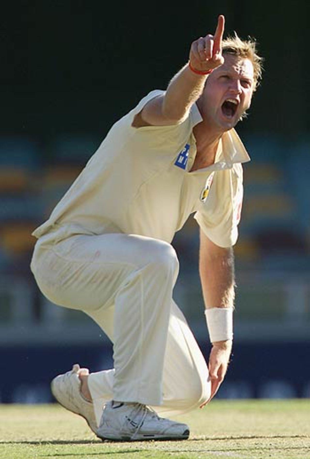 Cameron White appeals vociferously for an lbw appeal, Queensland v Victoria, Brisbane, 2nd day, November 19, 2005