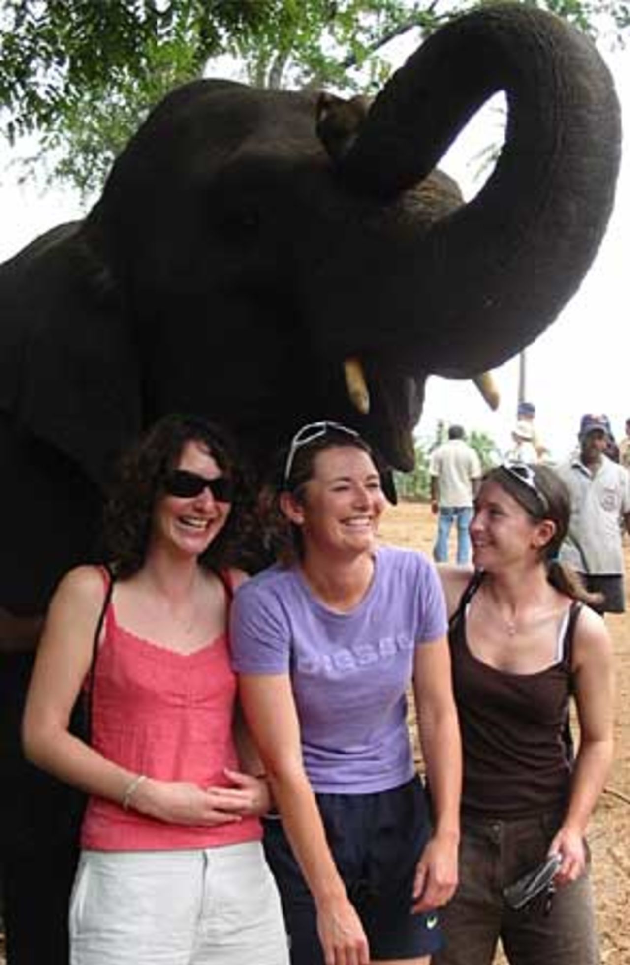 Trunk call - Imogen Gaunt, Charlotte Edwards and Jo Watts meet an elephant,  November 20, 2005