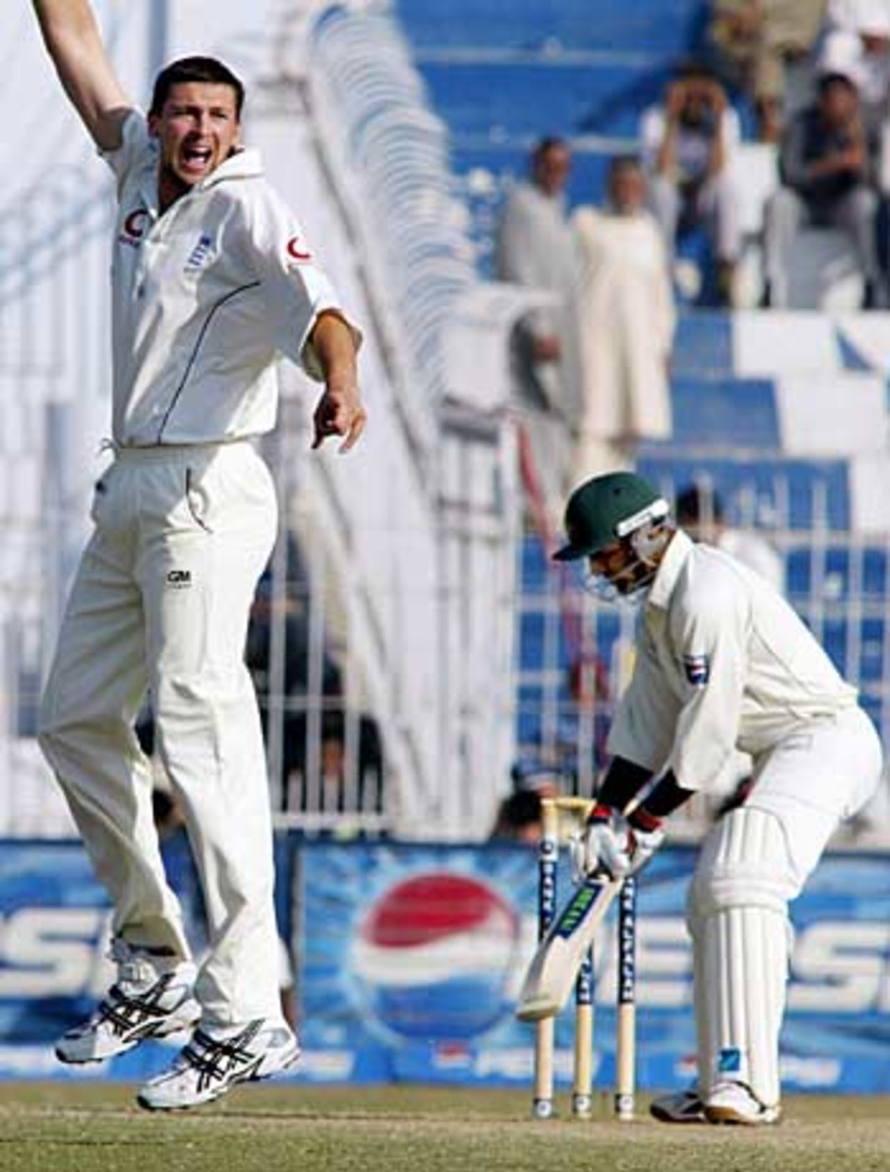 Steve Harmison successfully appeals for the wicket of Rana Naved-ul-Hasan, Pakistan v England, 2nd Test, Faisalabad, November 24, 2005