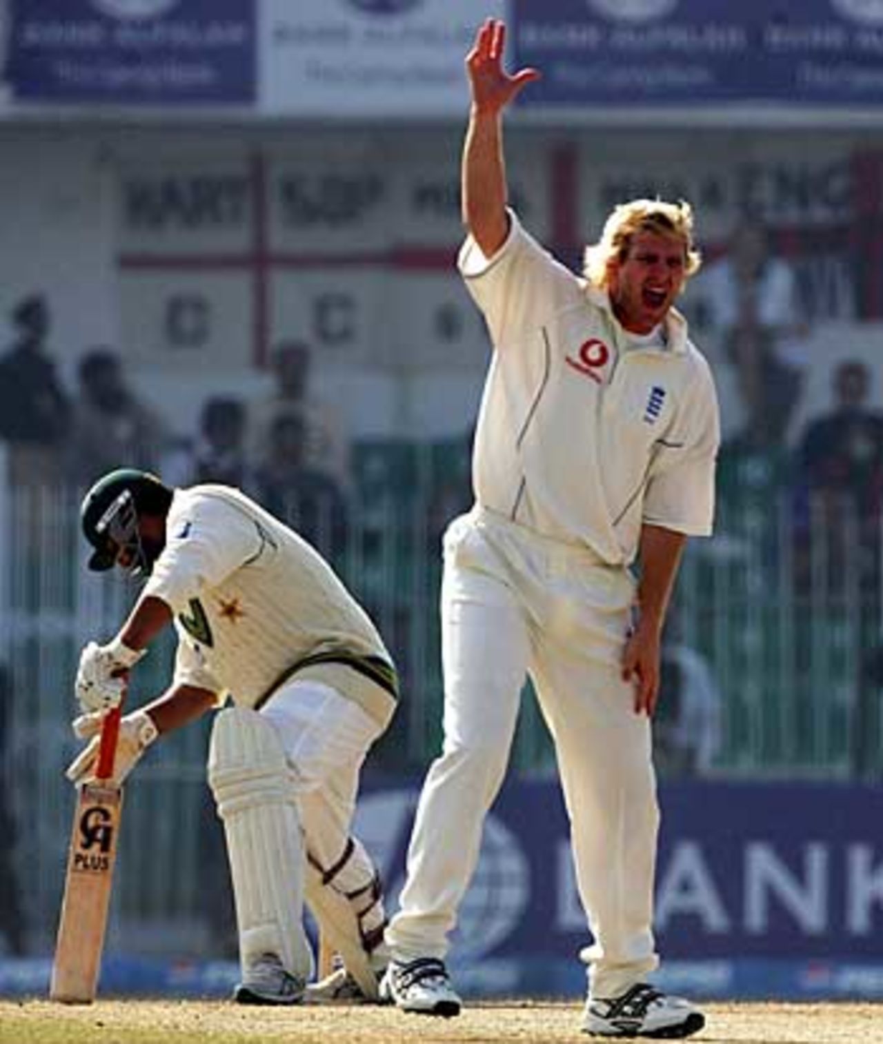 Matthew Hoggard appeals unsuccessfully for Inzamam-ul-Haq's wicket, Pakistan v England, 2nd Test, Faisalabad, November 24, 2005