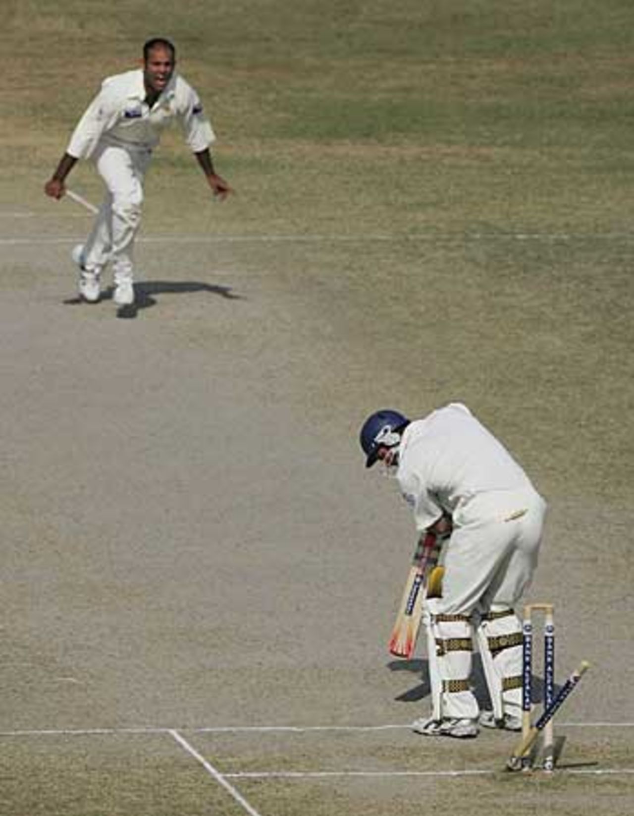 Rana Naved-ul-Hasan roars his delight at bowling Andrew Strauss, Pakistan v England, 2nd Test, Faisalabad, November 24, 2005