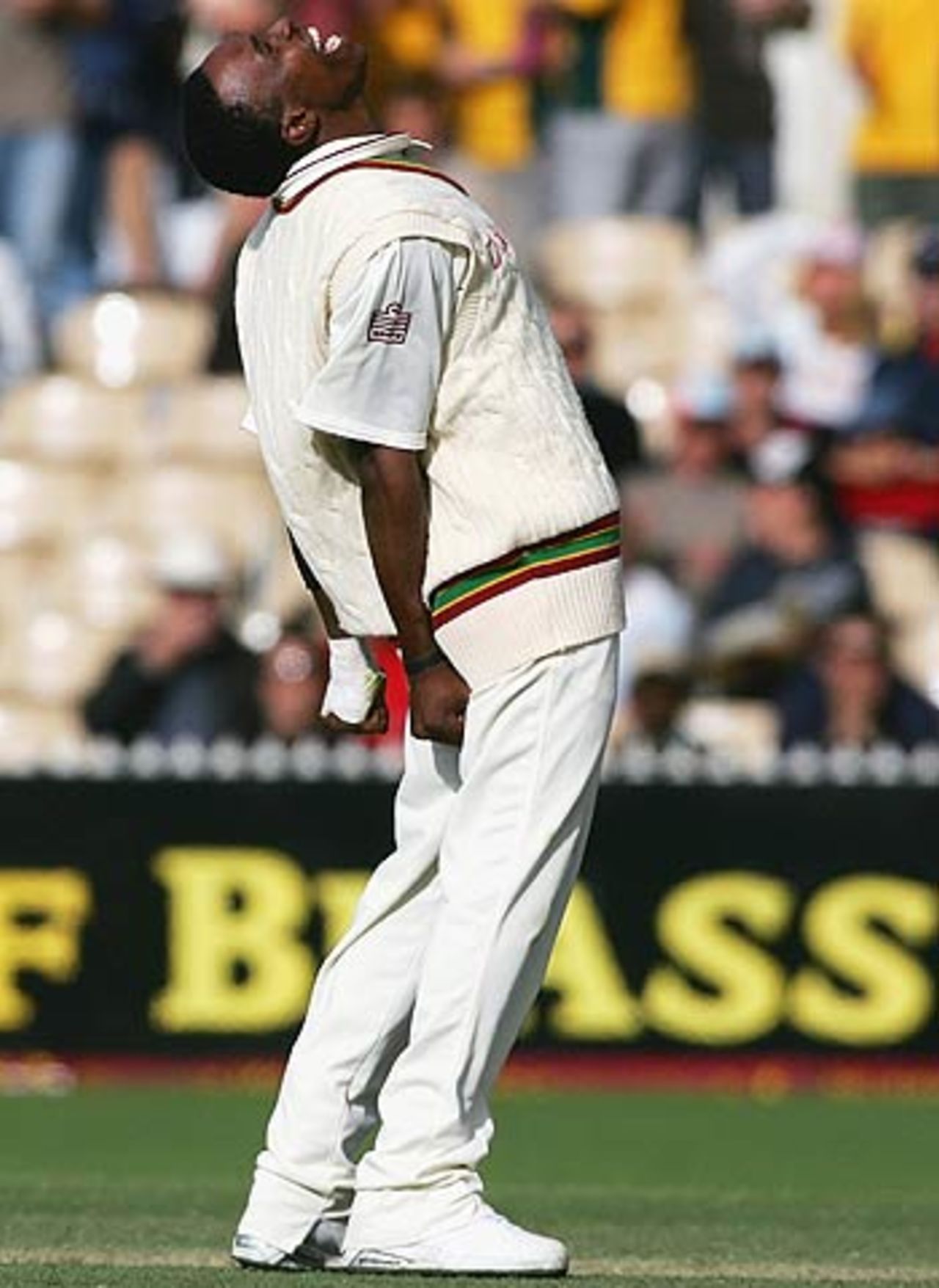 Dwayne Bravo cannot contain his elation at dismissing Ricky Ponting, Australia v West Indies, 3rd Test, Adelaide, 2nd day, November 26, 2005