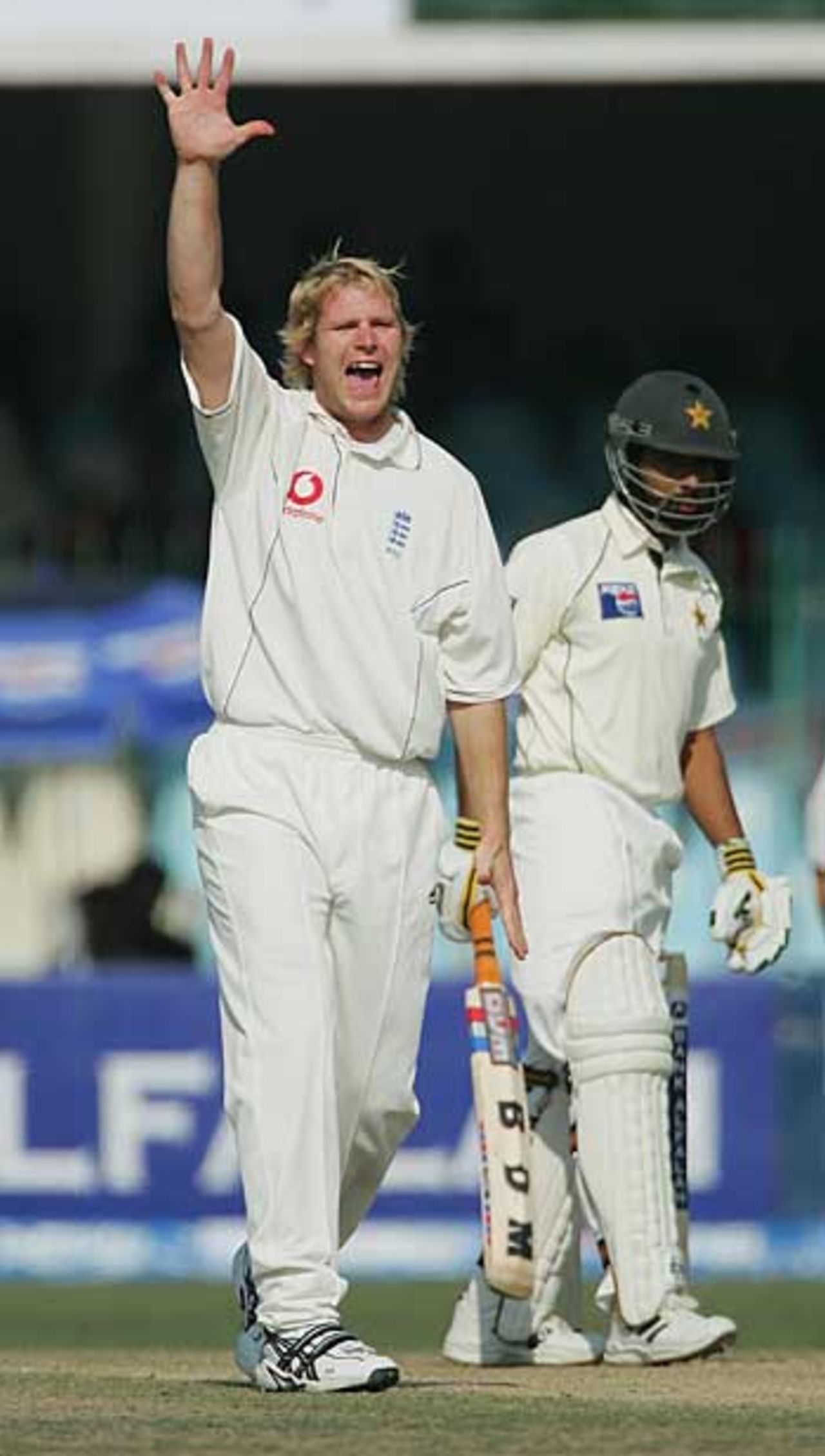 Matthew Hoggard successfully appeals for Asim Kamal's wicket, Pakistan v England, 3rd Test, Lahore, November 30, 2005