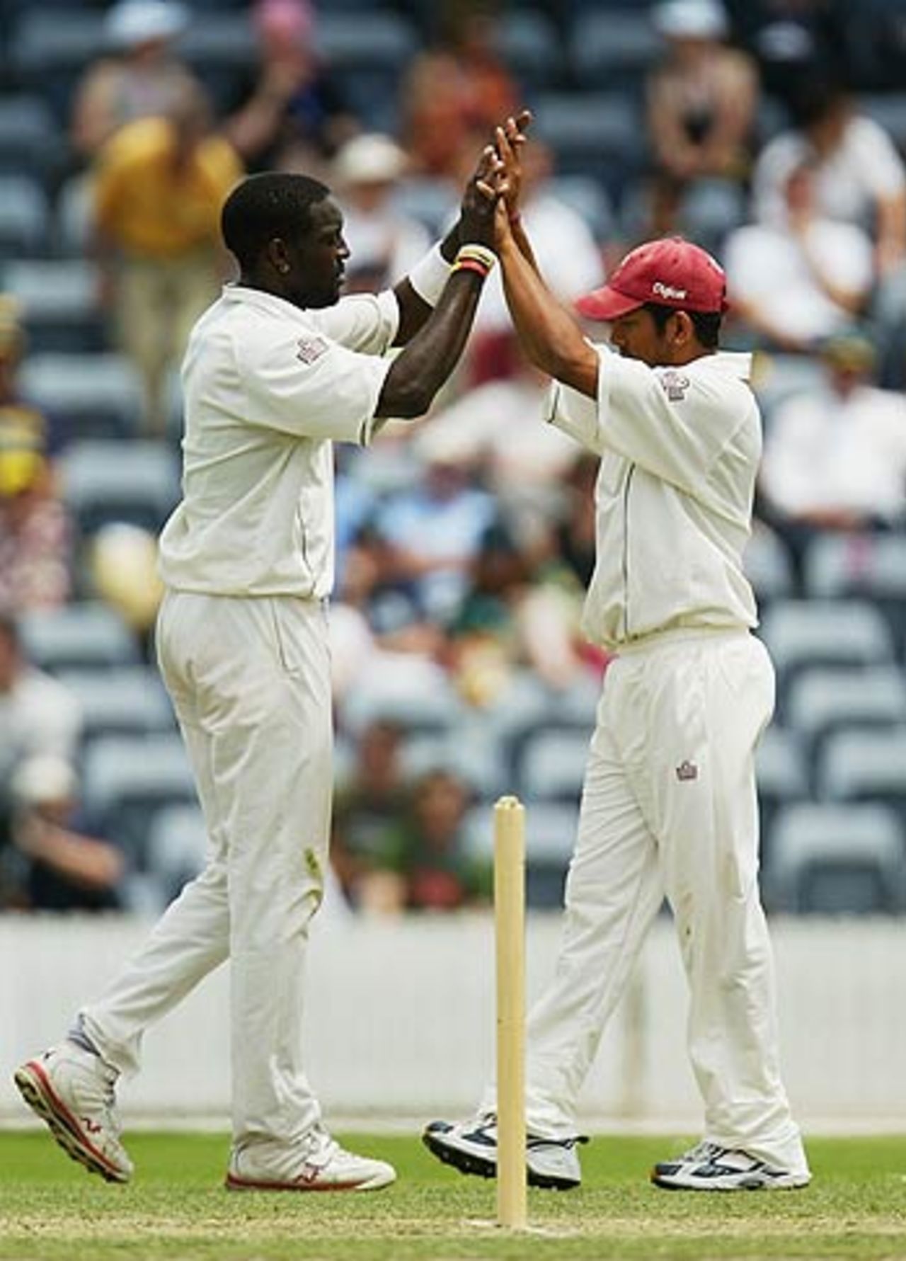 Jermaine Lawson celebrates the wicket of David Dawson, Prime Minister's XI v West Indians, Canberra, December 2, 2005