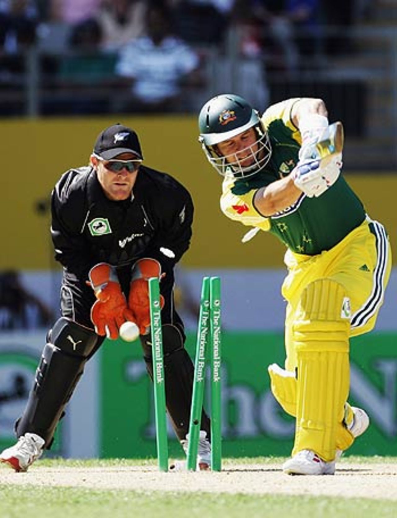 Brad Hodge is bowled by Scott Styris, New Zealand v Australia, 1st ODI, Chappell-Hadlee Trophy, Auckland, December 3, 2005