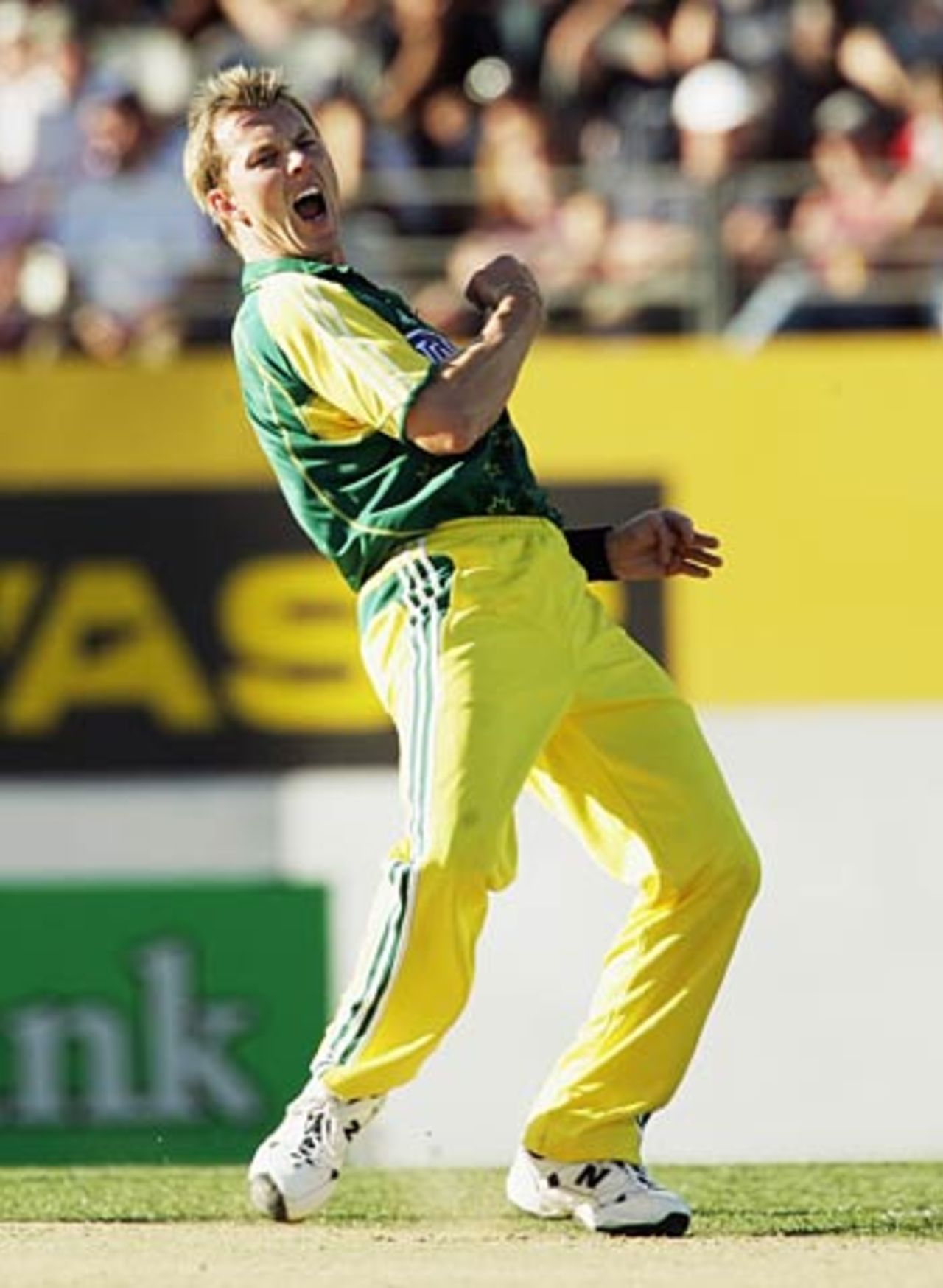 Brett Lee celebrates Hamish Marshall's wicket, New Zealand v Australia, 1st ODI, Chappell-Hadlee Trophy, Auckland, December 3, 2005
